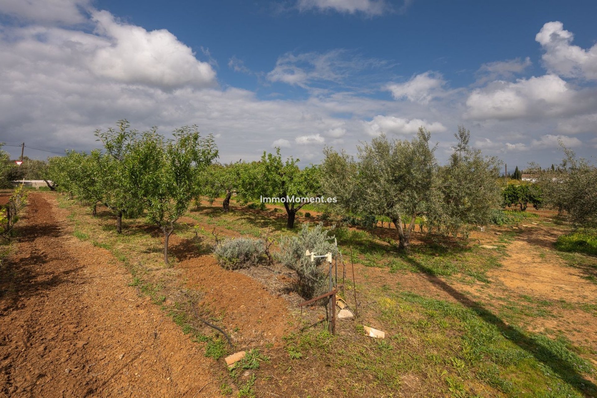 Resale - Country house - Inland  - Alhaurín el Grande Centro