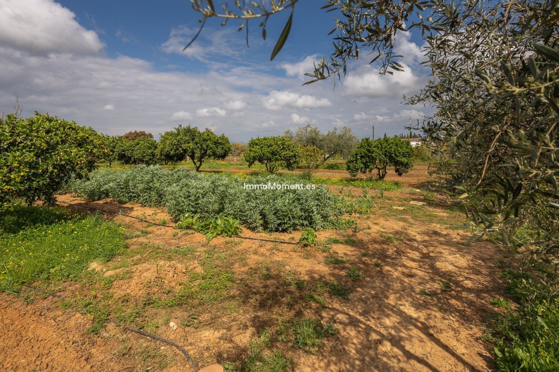 Resale - Country house - Inland  - Alhaurín el Grande Centro