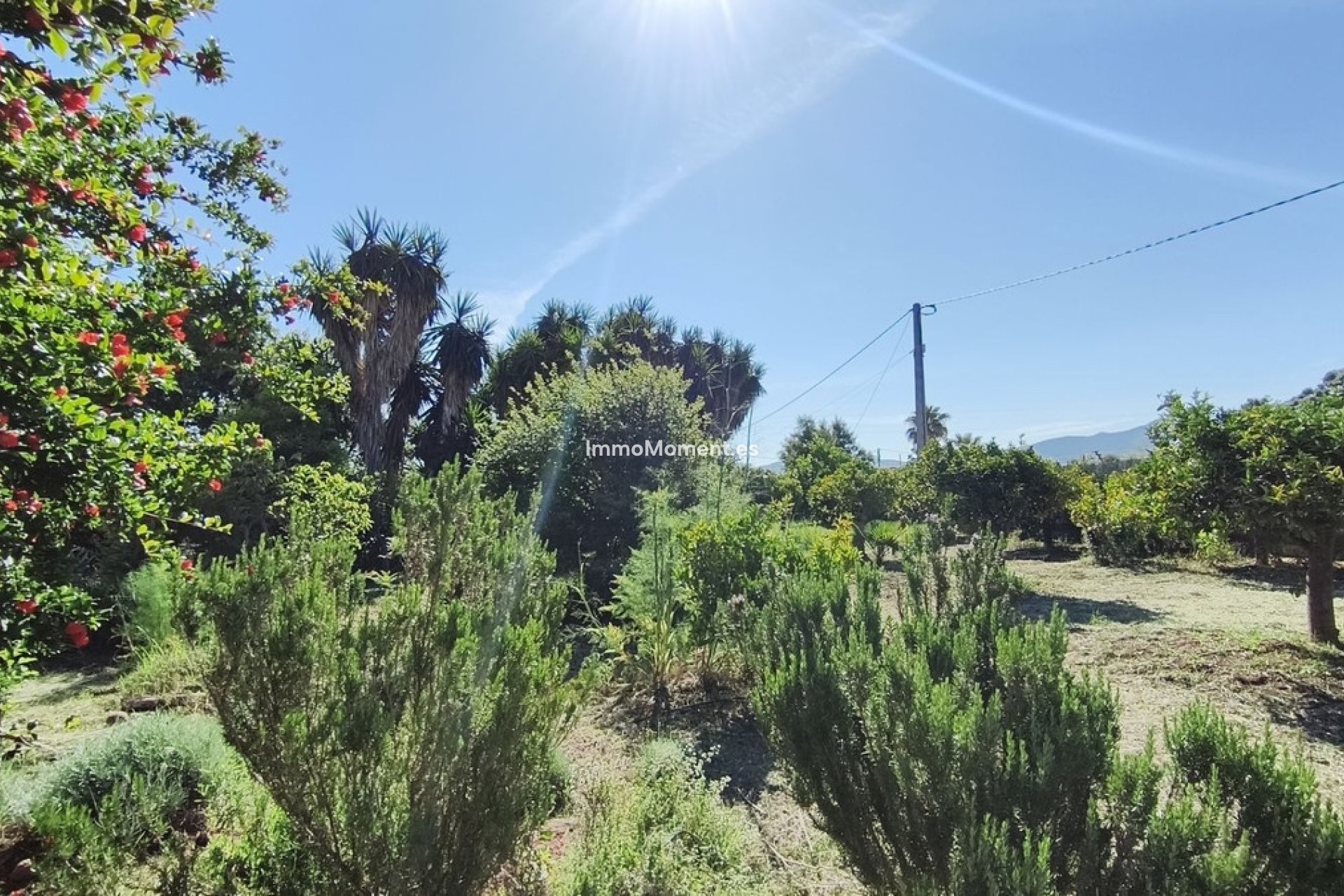 Resale - Country house - Inland  - Alhaurín el Grande Centro