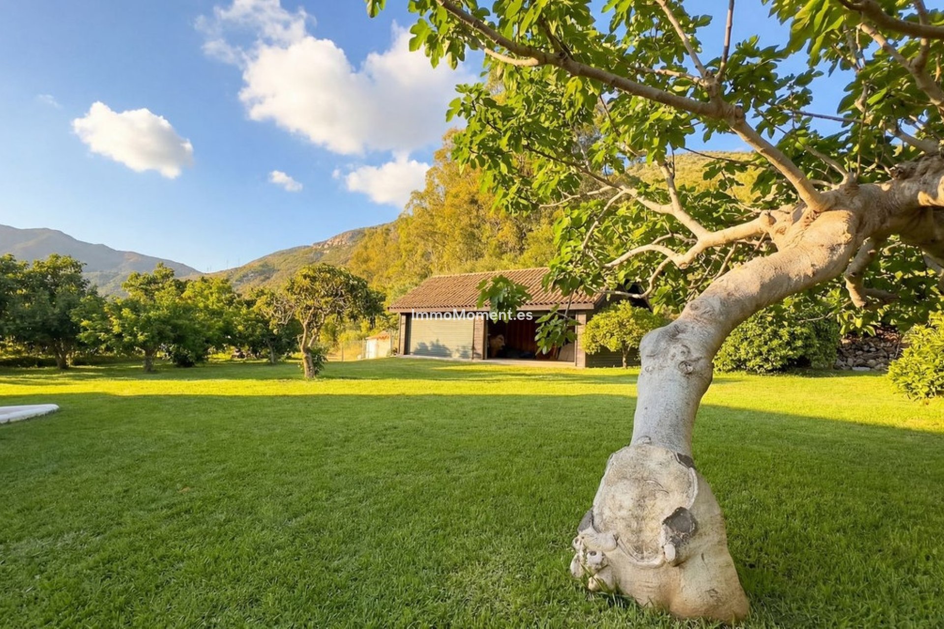 Resale - Country house - Inland  - Alhaurín el Grande Centro