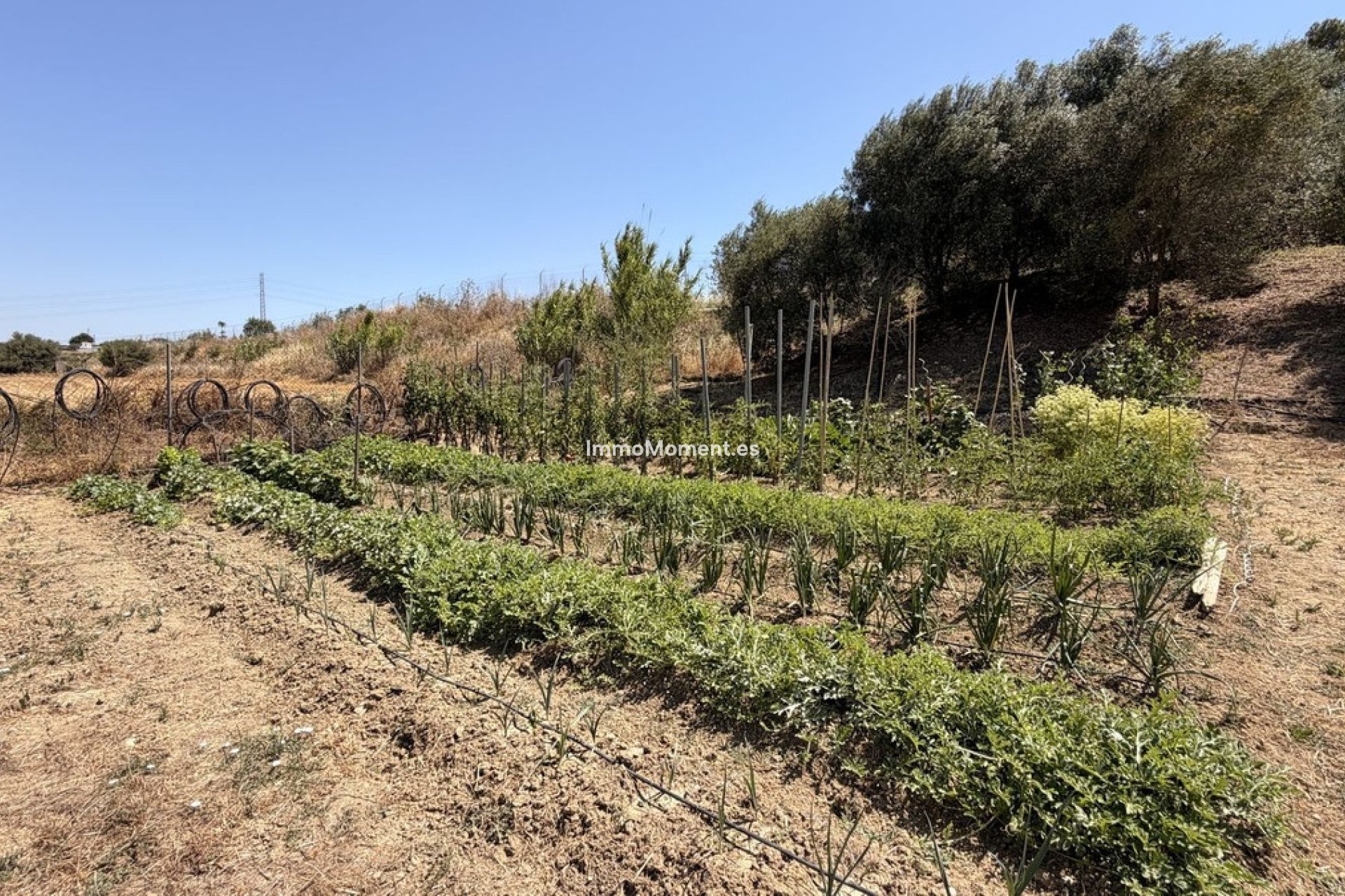 Resale - Country house - Inland  - Alhaurín el Grande Centro