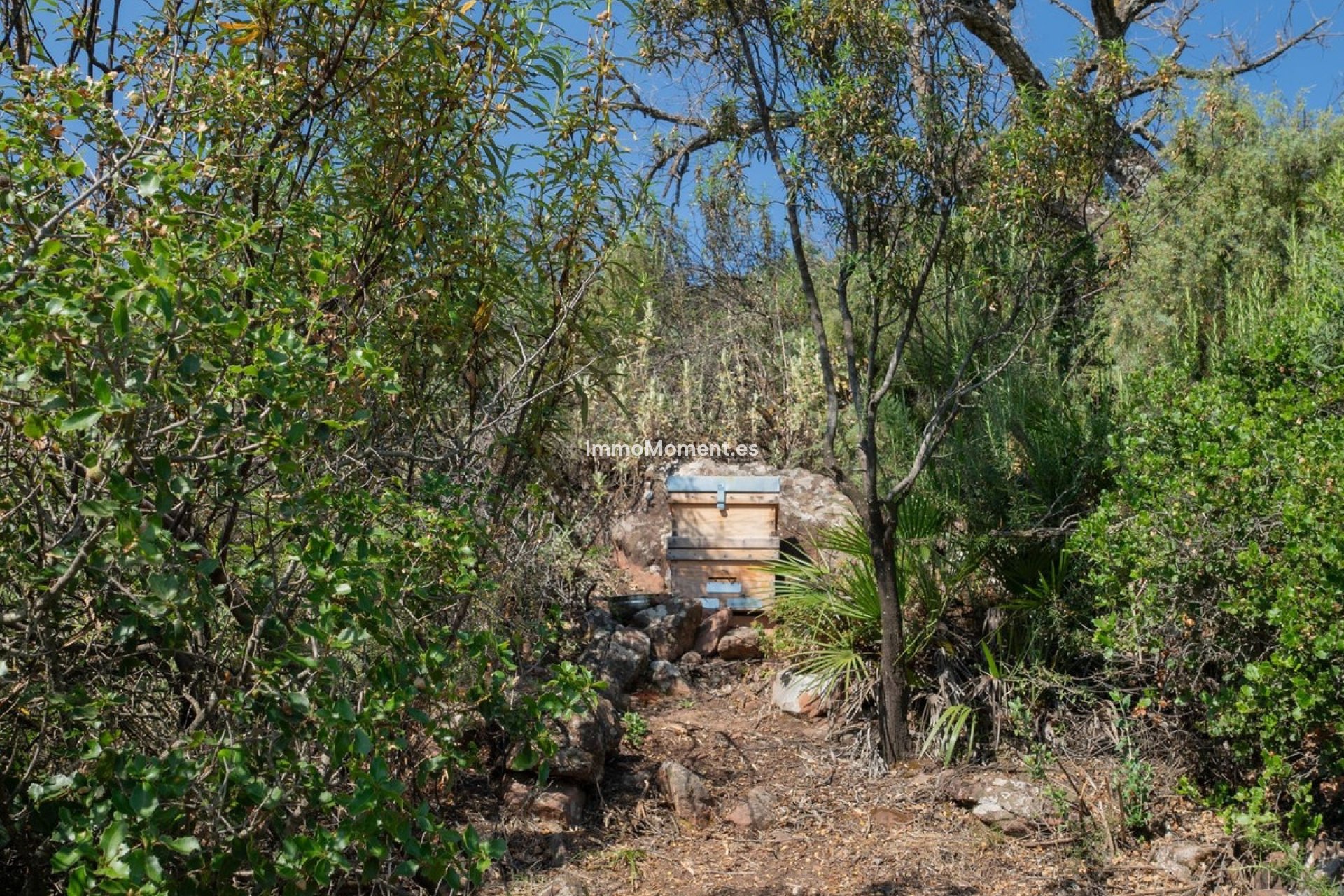 Resale - Country house - Inland  - Almogía