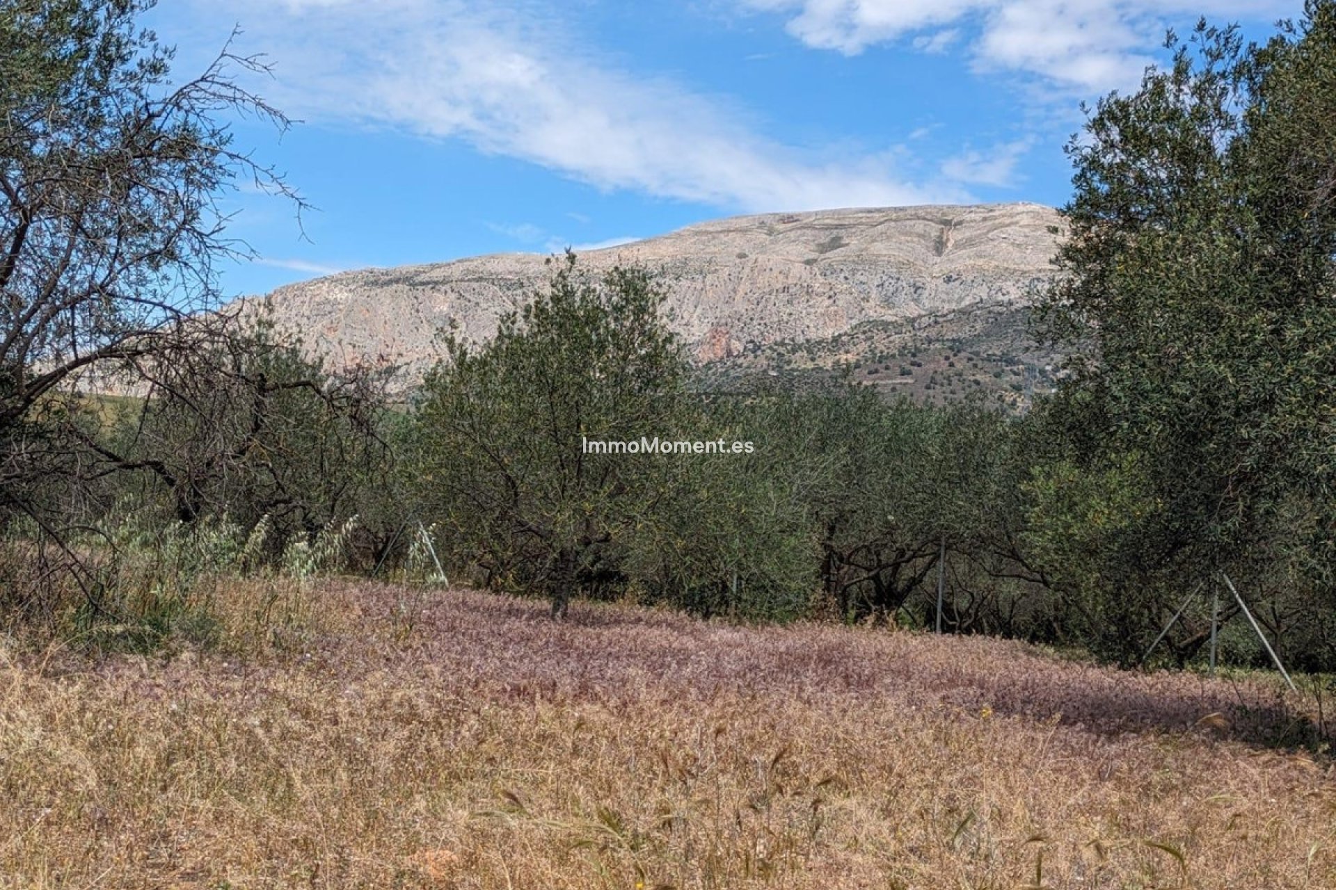 Resale - Country house - Inland  - Alora