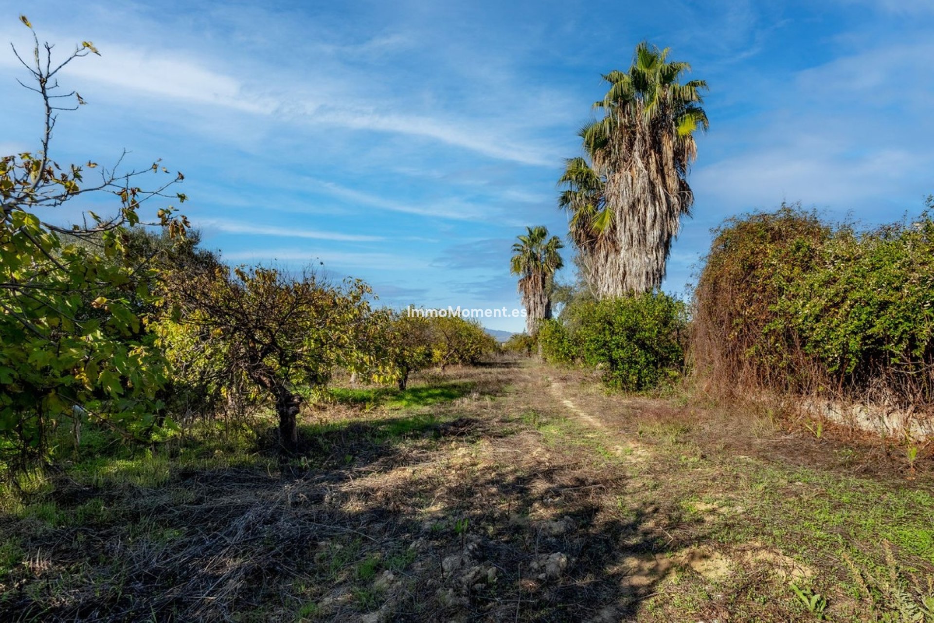 Resale - Country house - Inland  - Cártama Centro