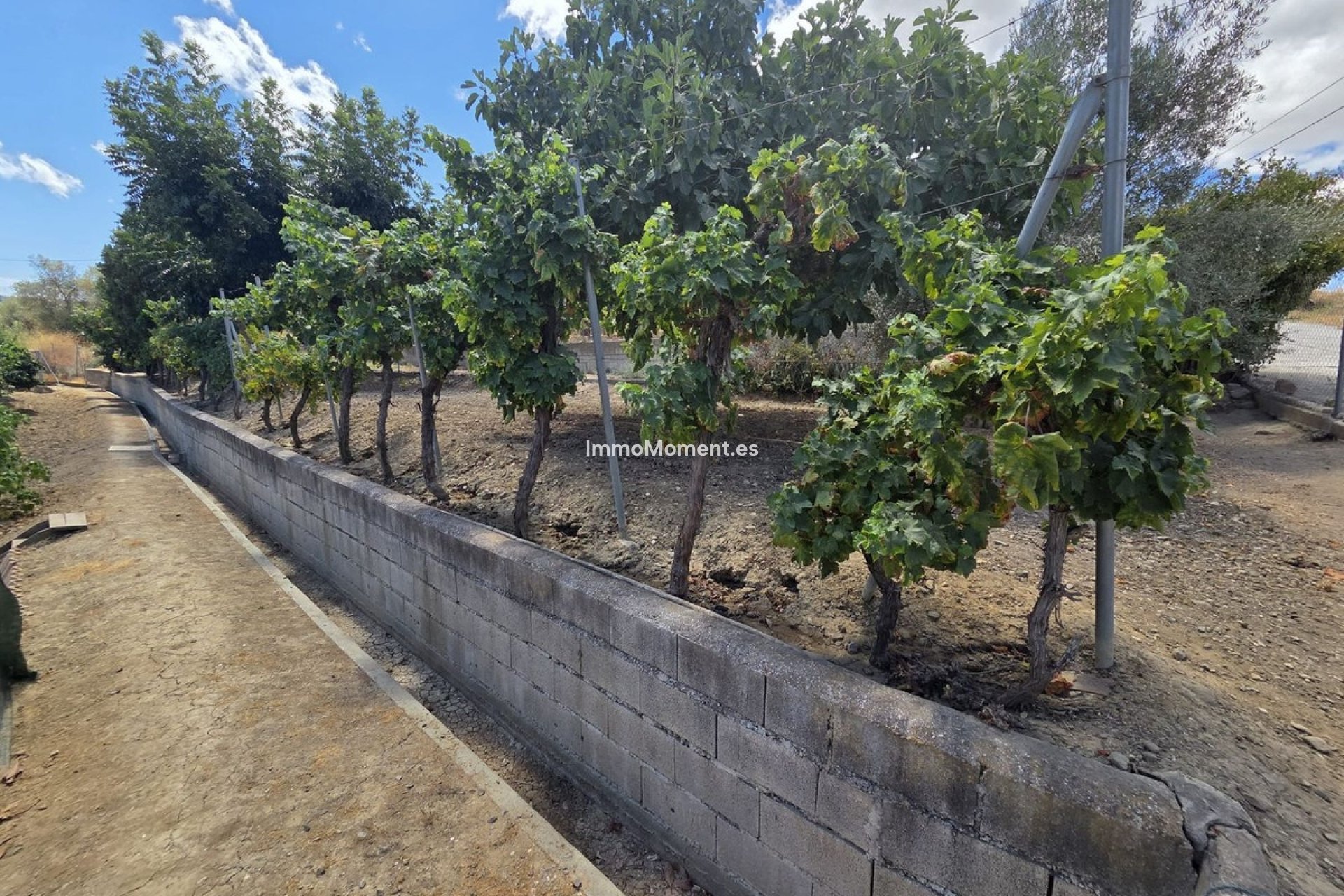 Resale - Country house - Inland  - Coín
