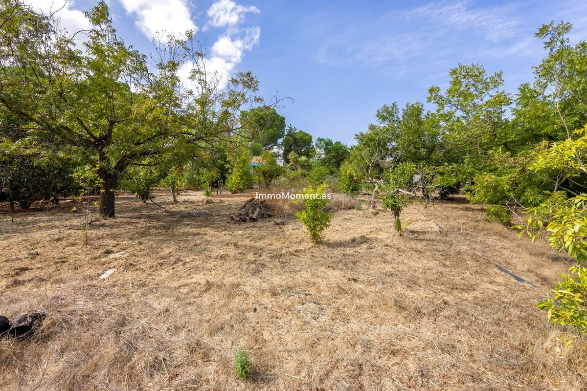 Resale - Country house - Inland  - Coín