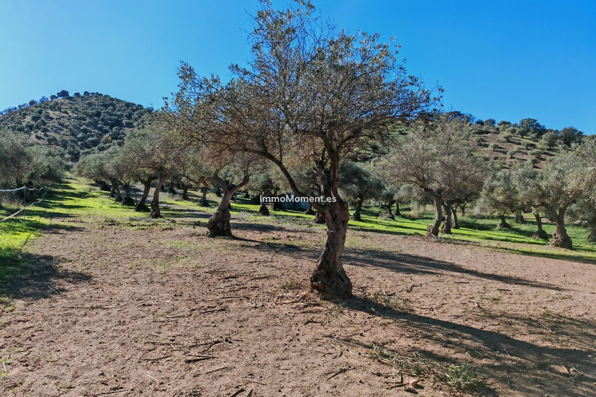 Resale - Country house - Inland  - Coín