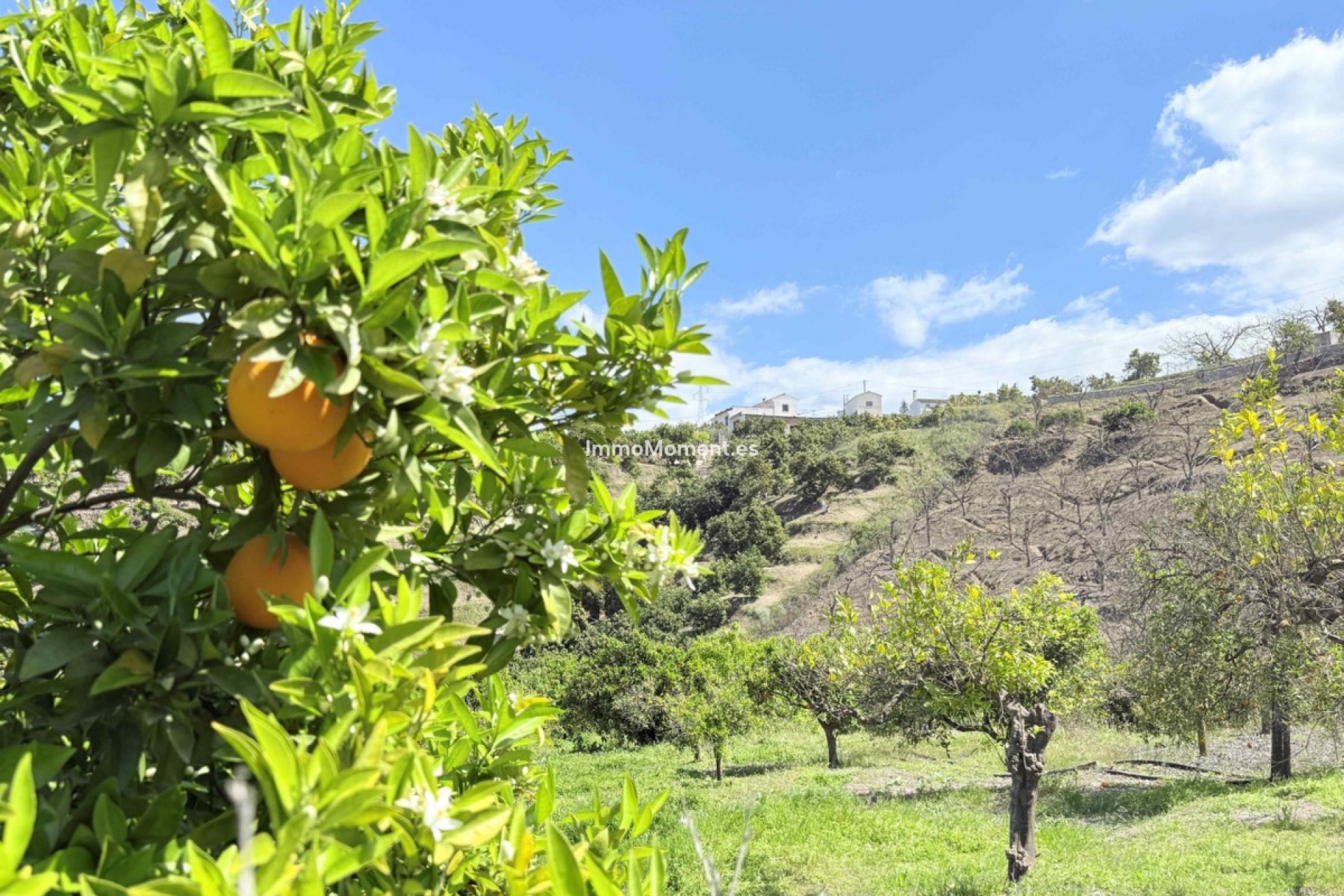 Resale - Country house - Inland  - Coín