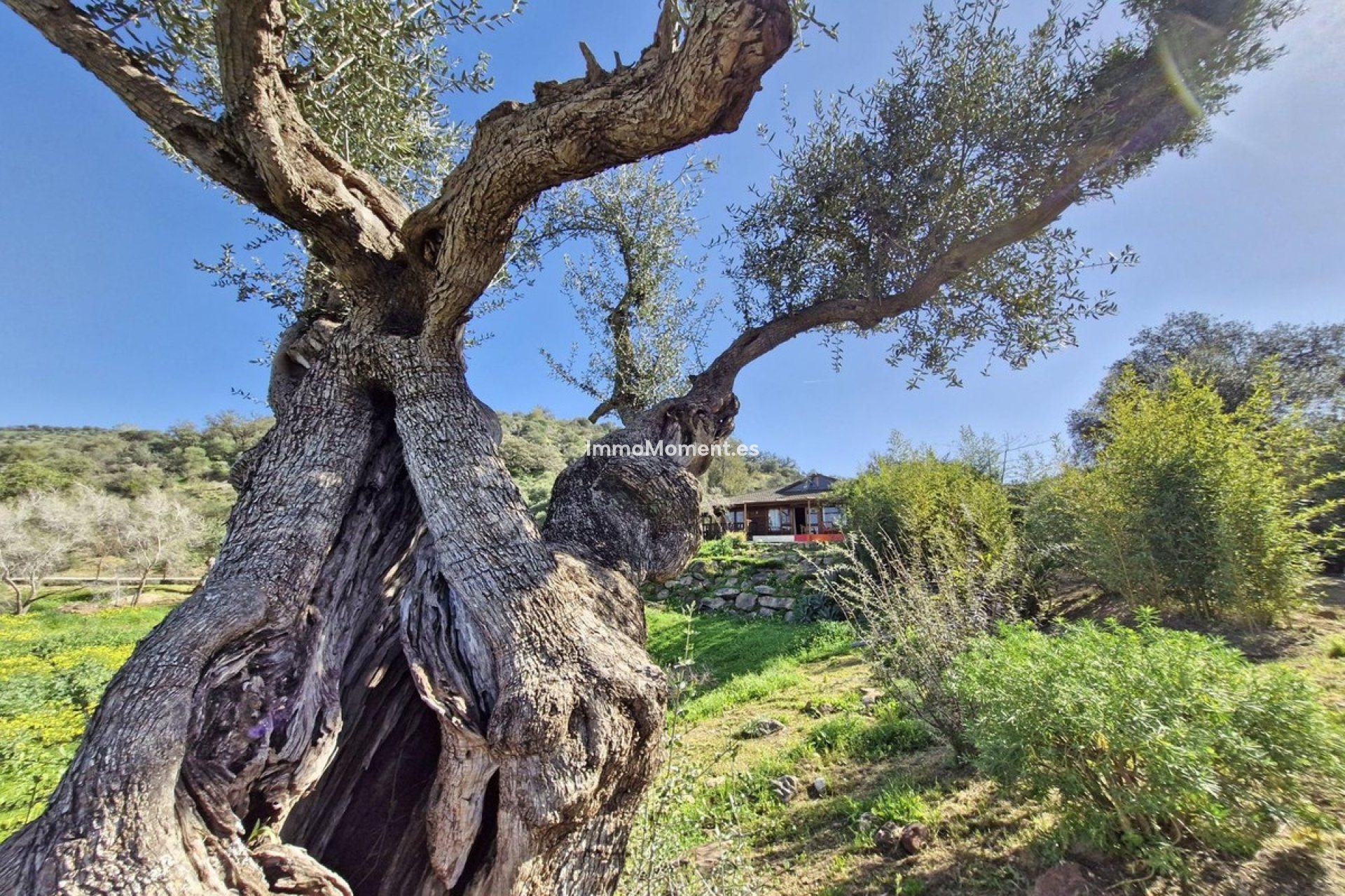 Resale - Country house - Inland  - Coín