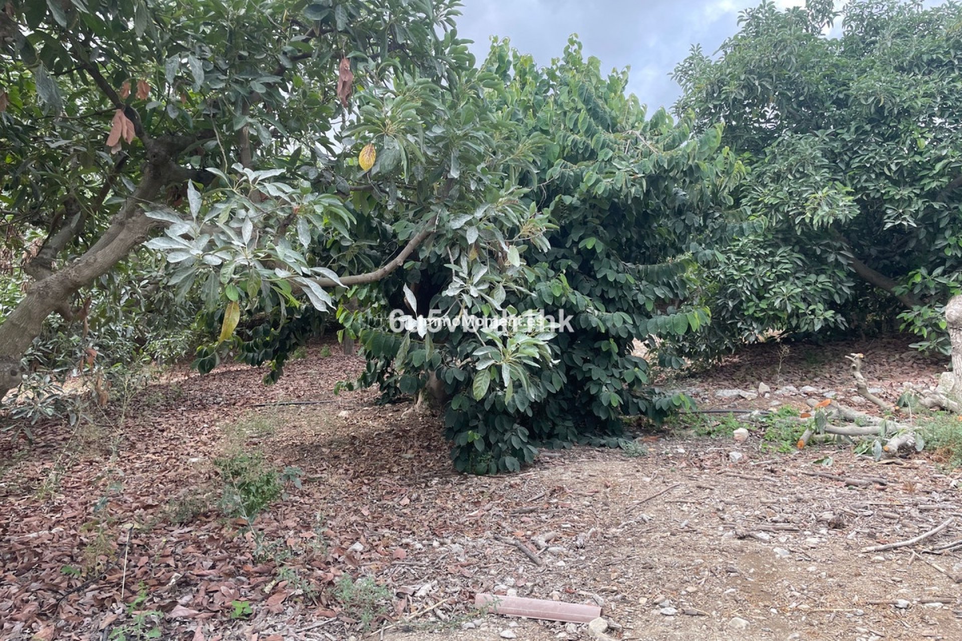 Resale - Country house - Inland  - Coín