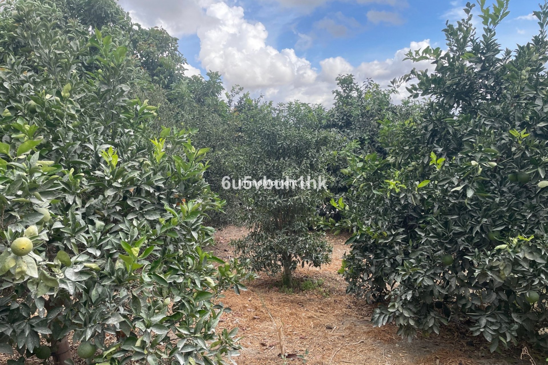 Resale - Country house - Inland  - Coín