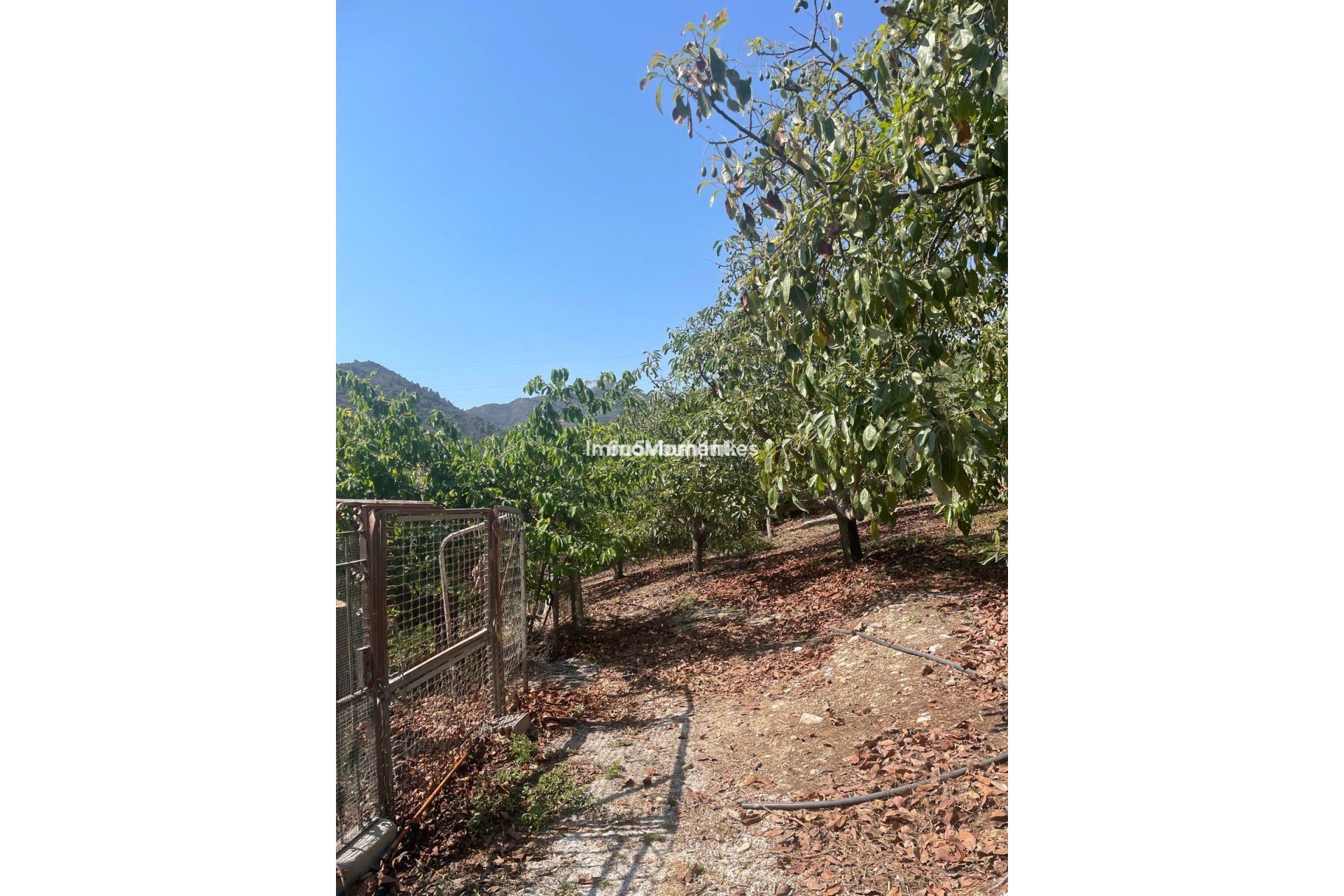 Resale - Country house - Inland  - Coín