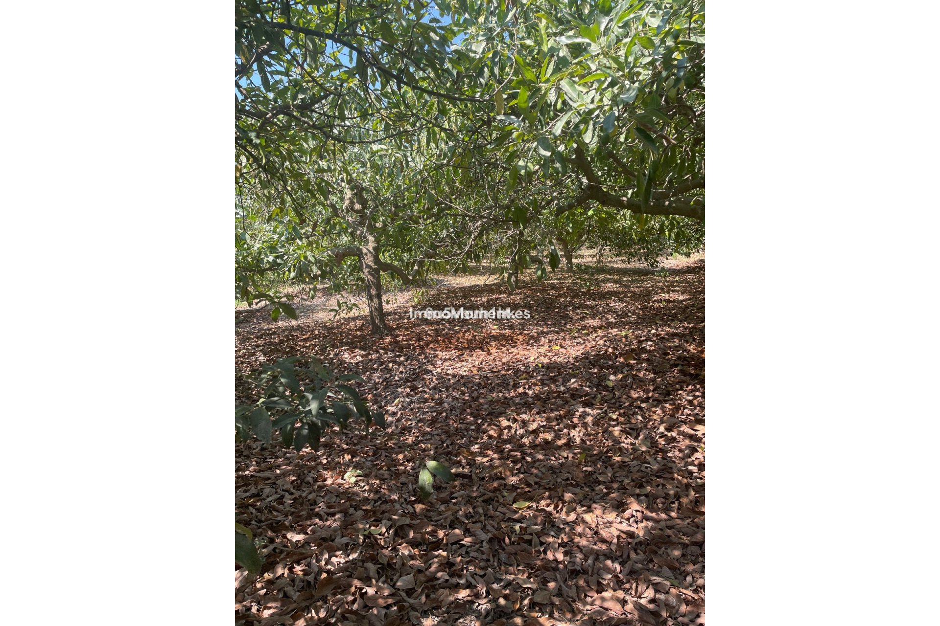 Resale - Country house - Inland  - Coín