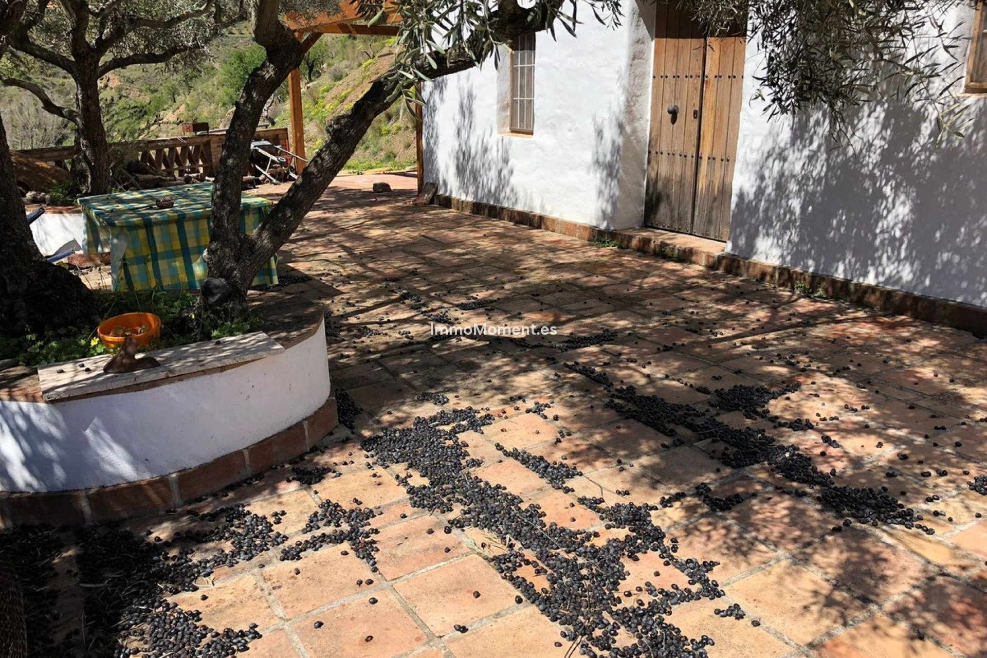 Resale - Country house - Inland  - Guaro