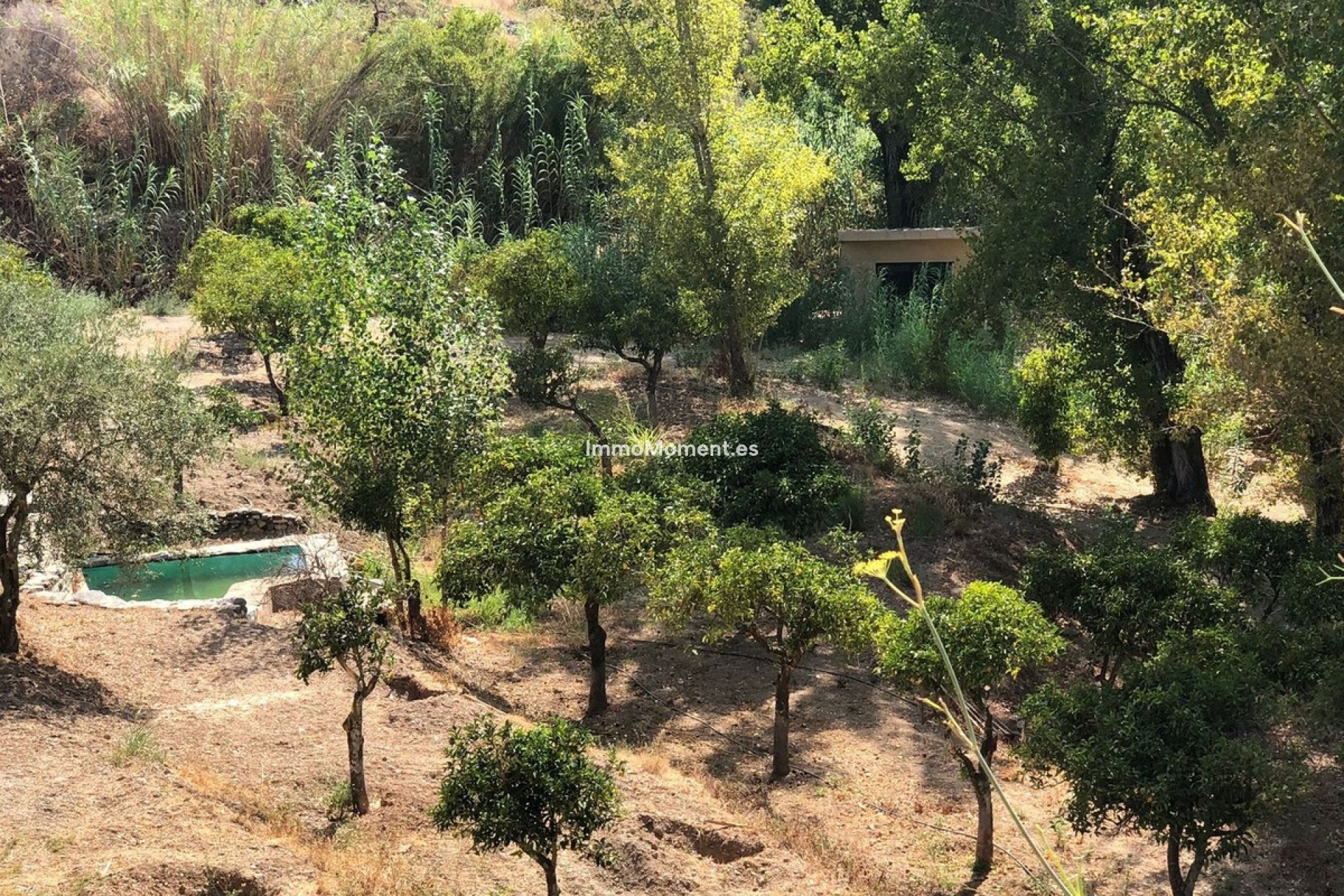 Resale - Country house - Inland  - Guaro