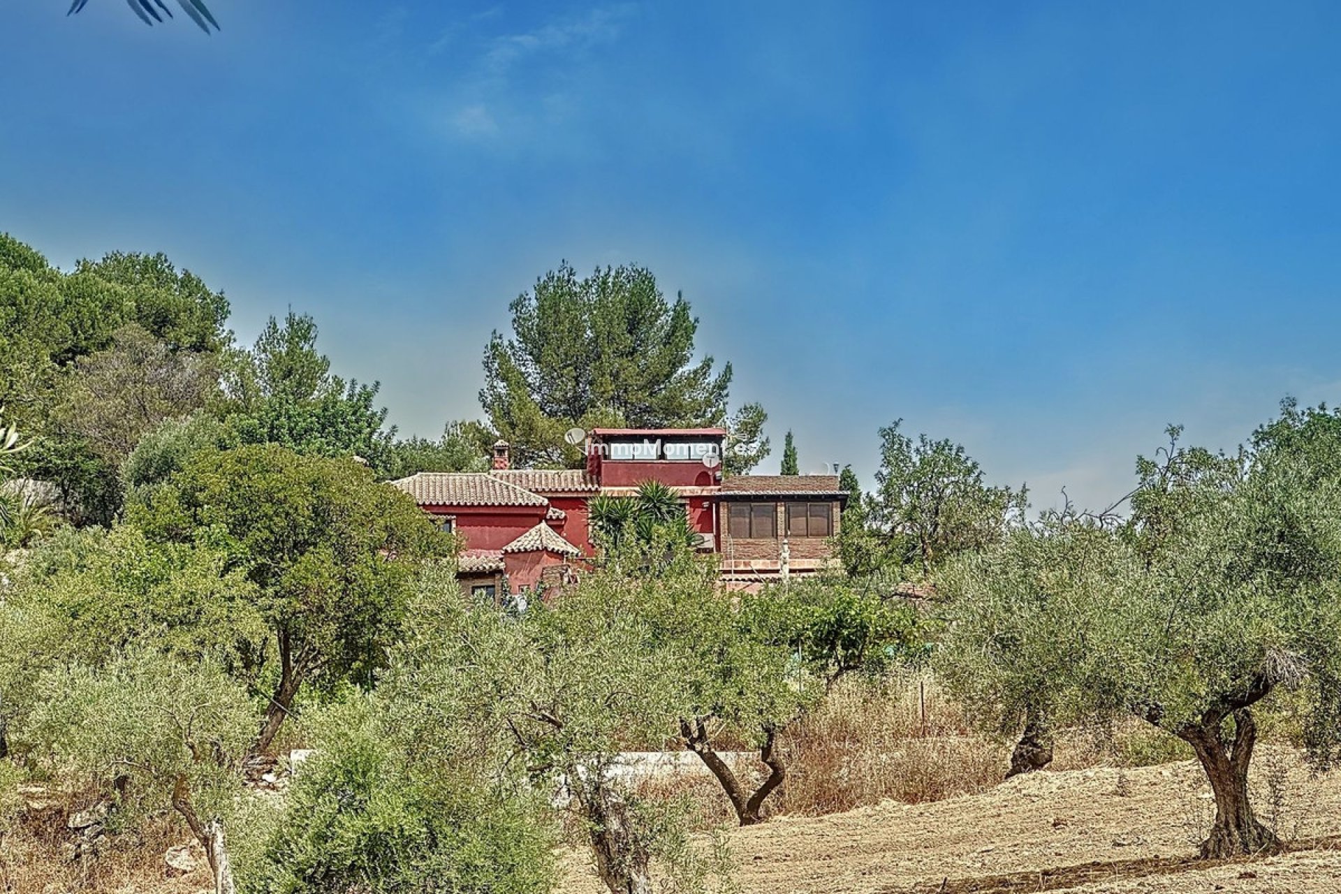 Resale - Country house - Inland  - Monda