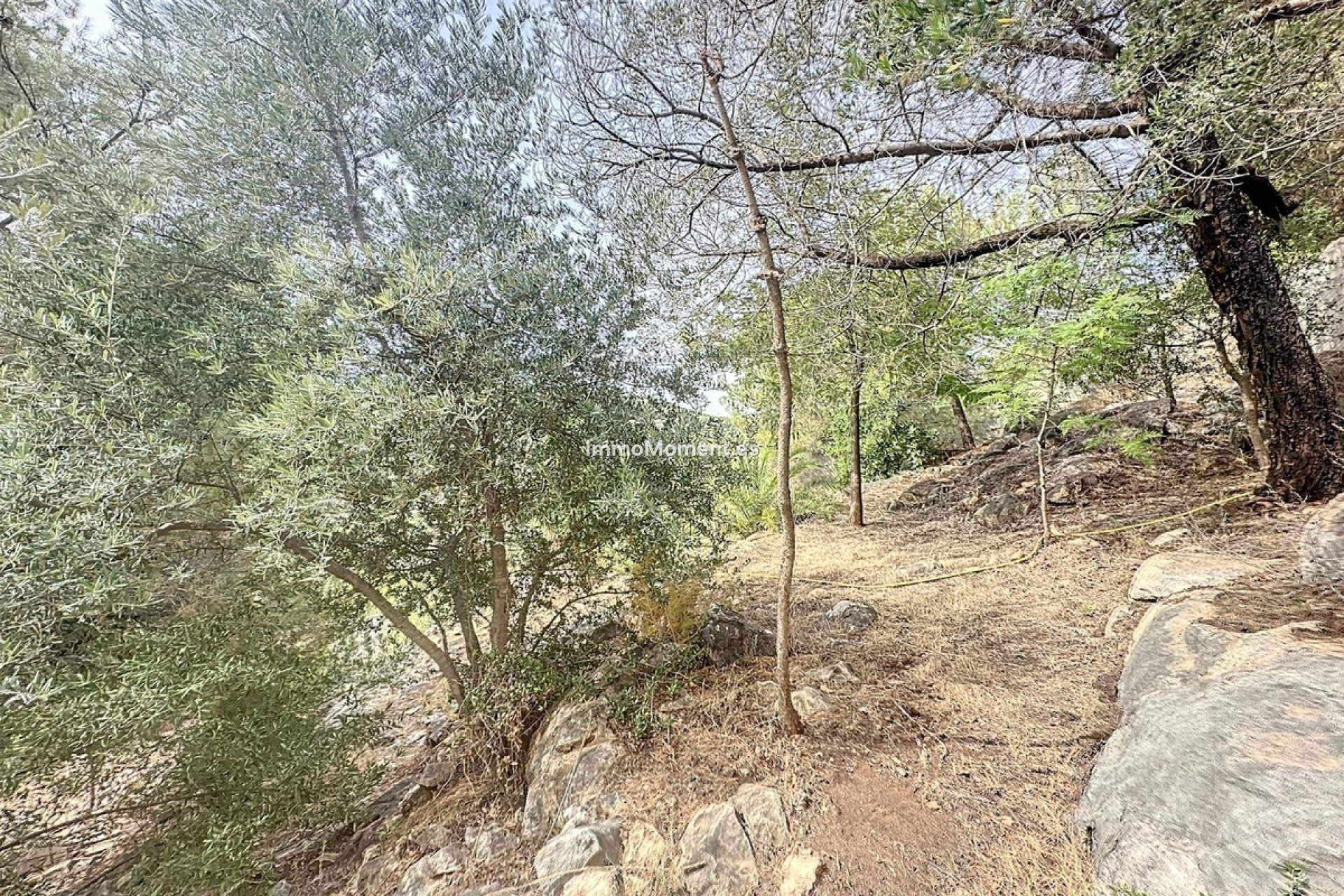 Resale - Country house - Inland  - Monda