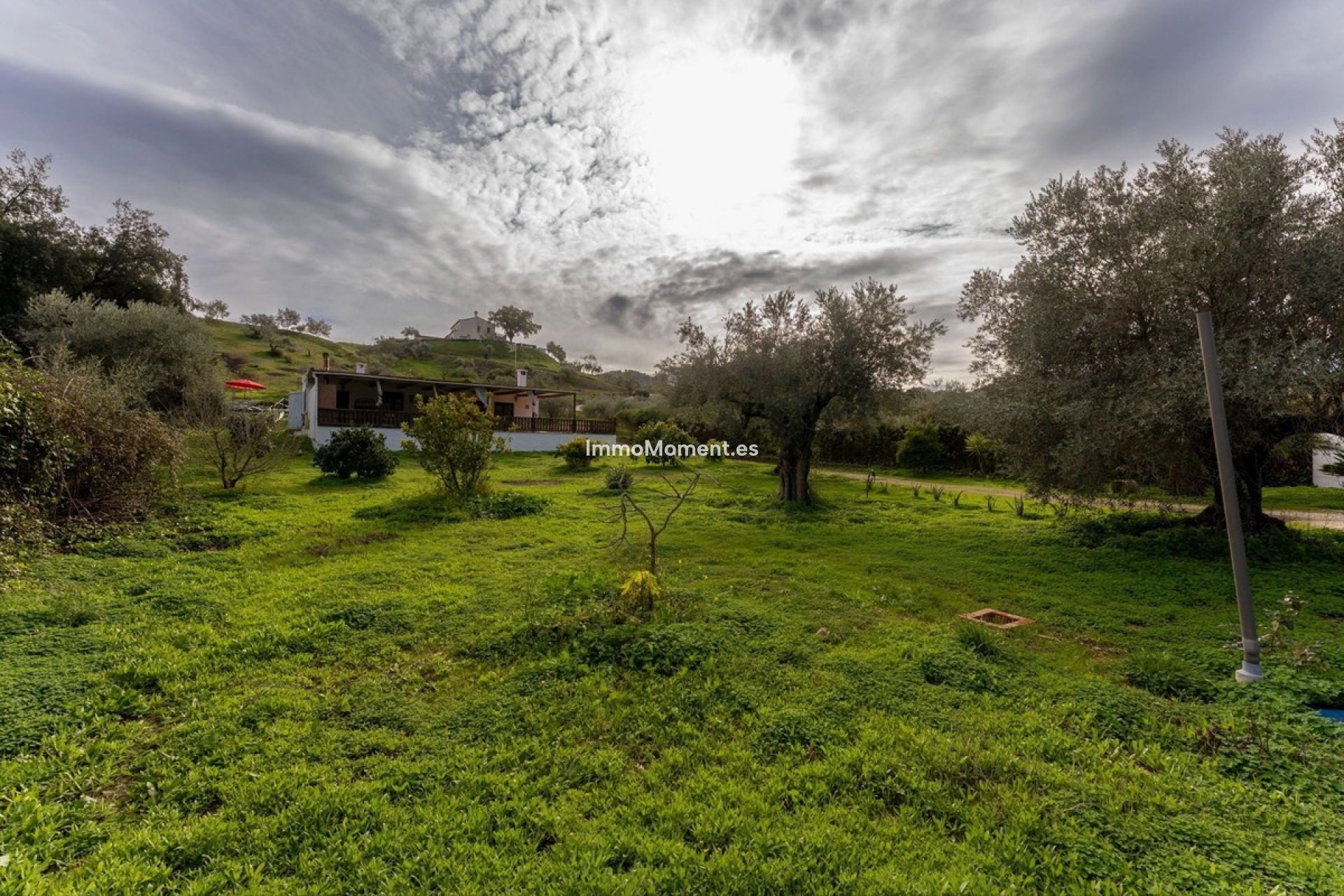 Resale - Country house - Inland  - Monda
