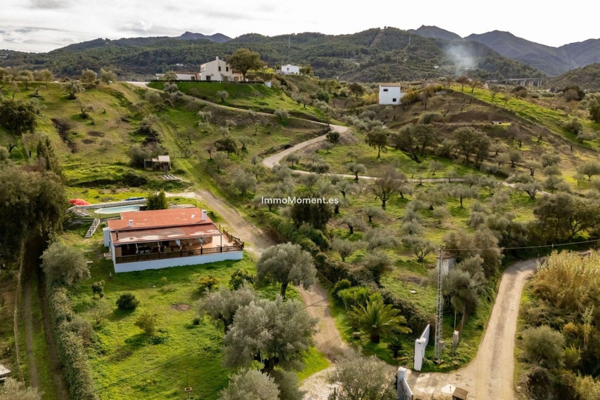 Resale - Country house - Inland  - Monda