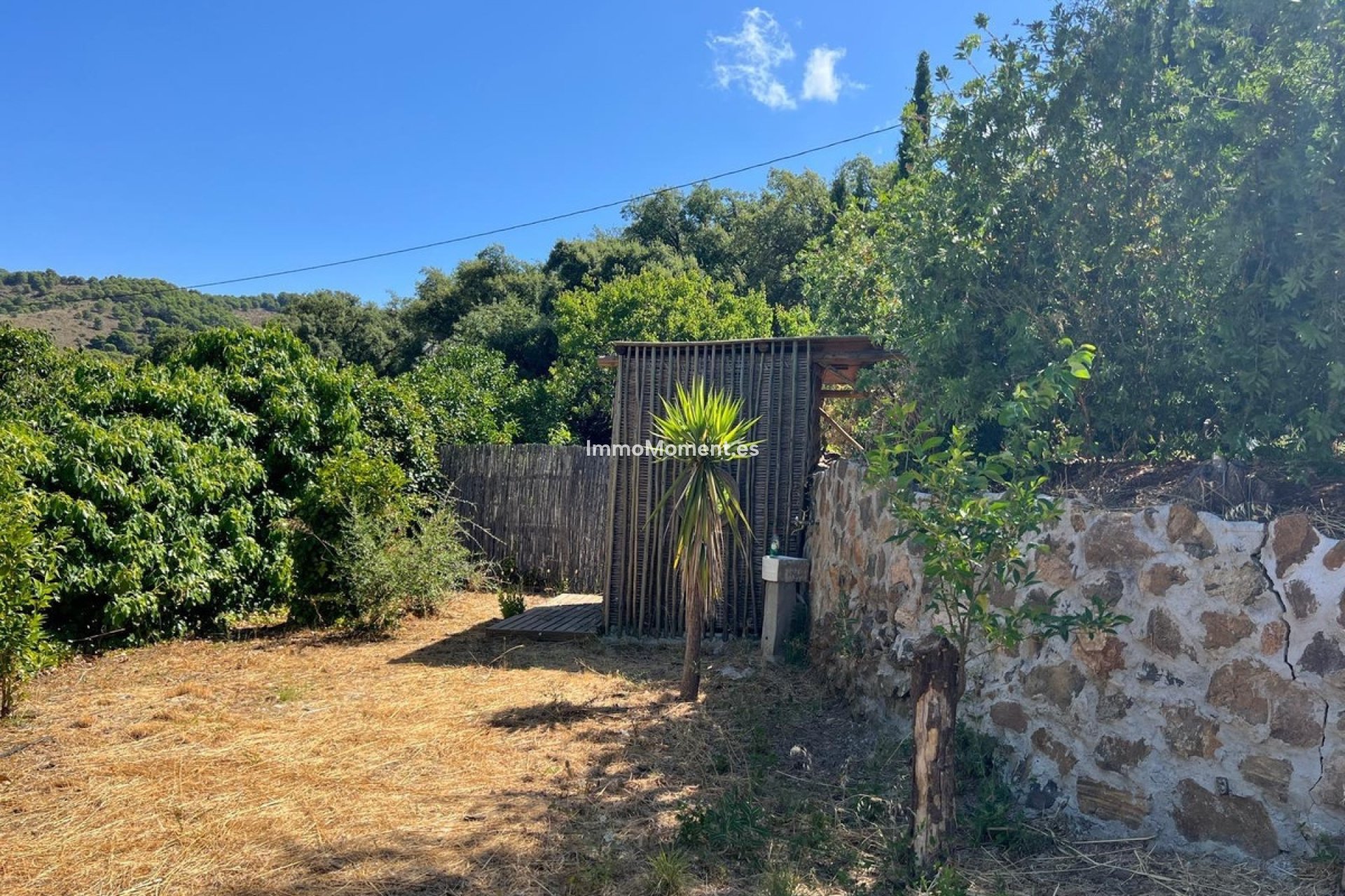 Resale - Country house - Inland  - Monda