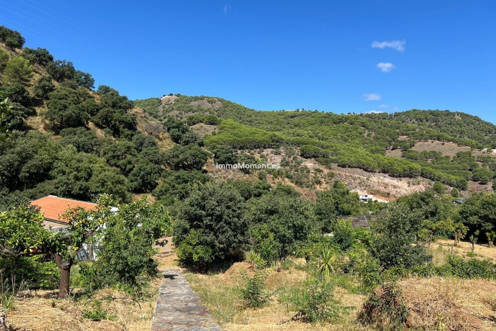 Resale - Country house - Inland  - Monda