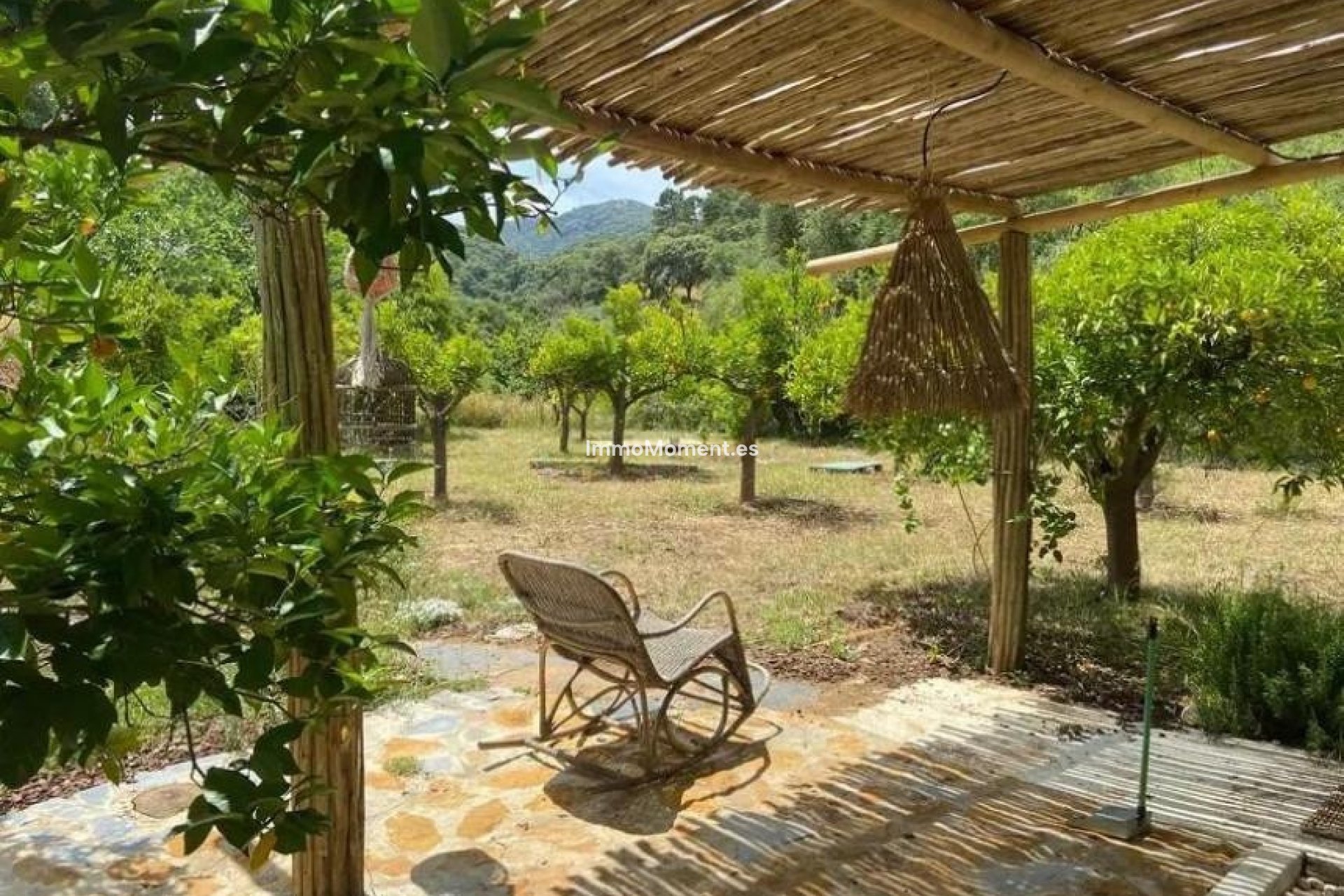 Resale - Country house - Inland  - Monda