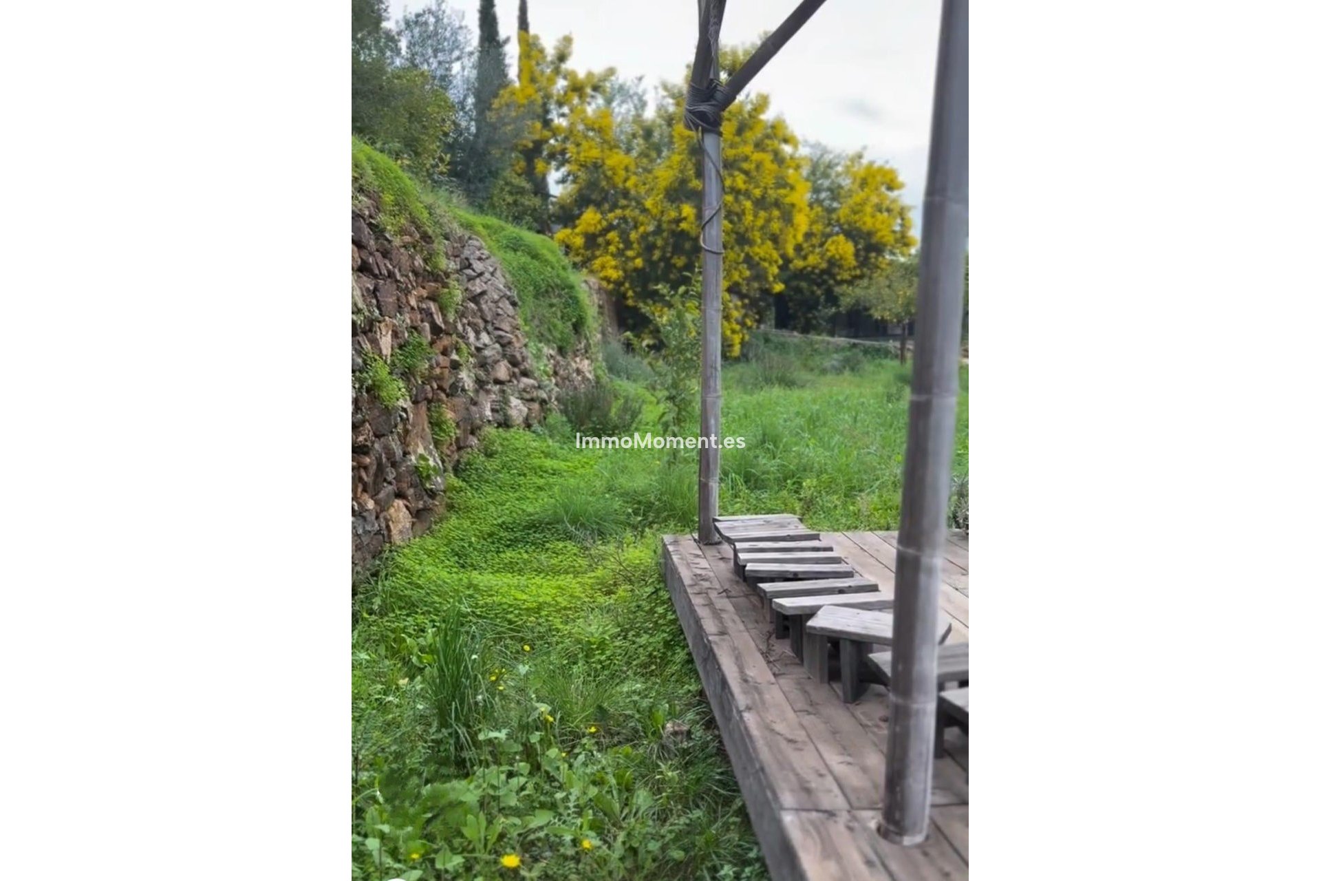 Resale - Country house - Inland  - Monda