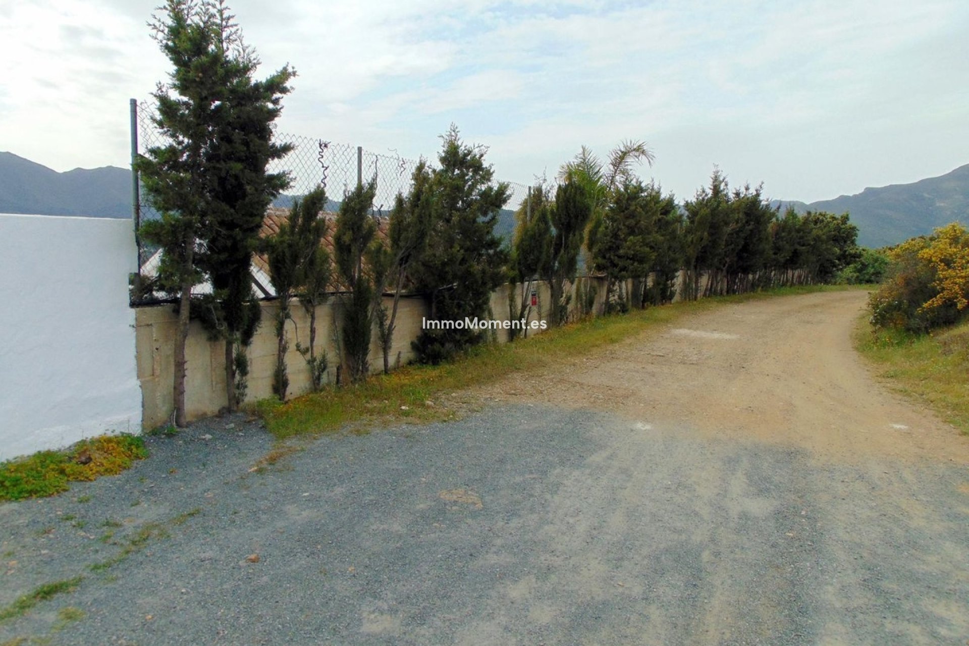 Resale - Country house - Inland  - Monda