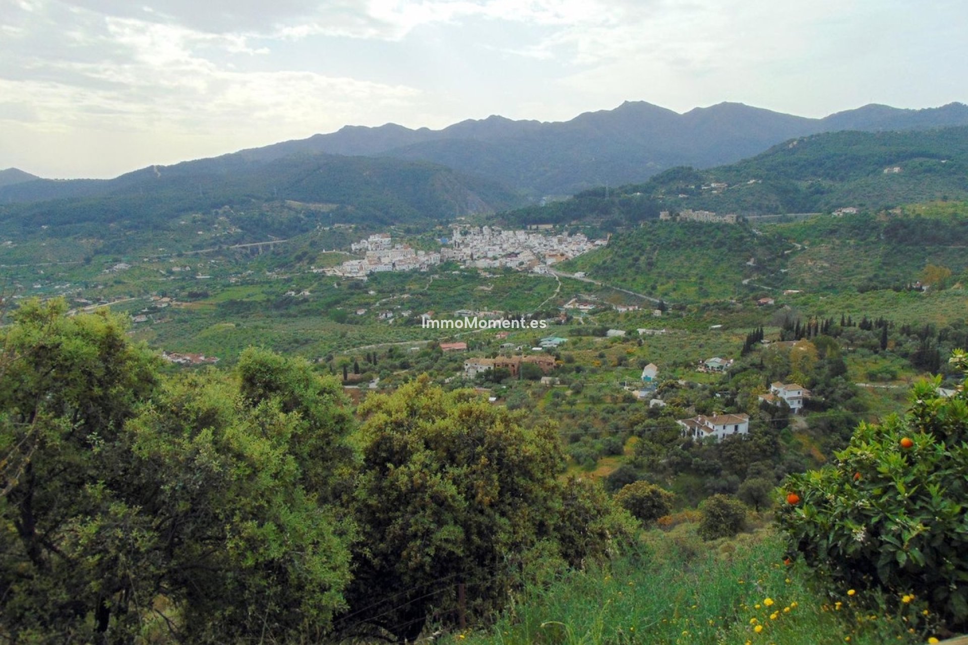 Resale - Country house - Inland  - Monda