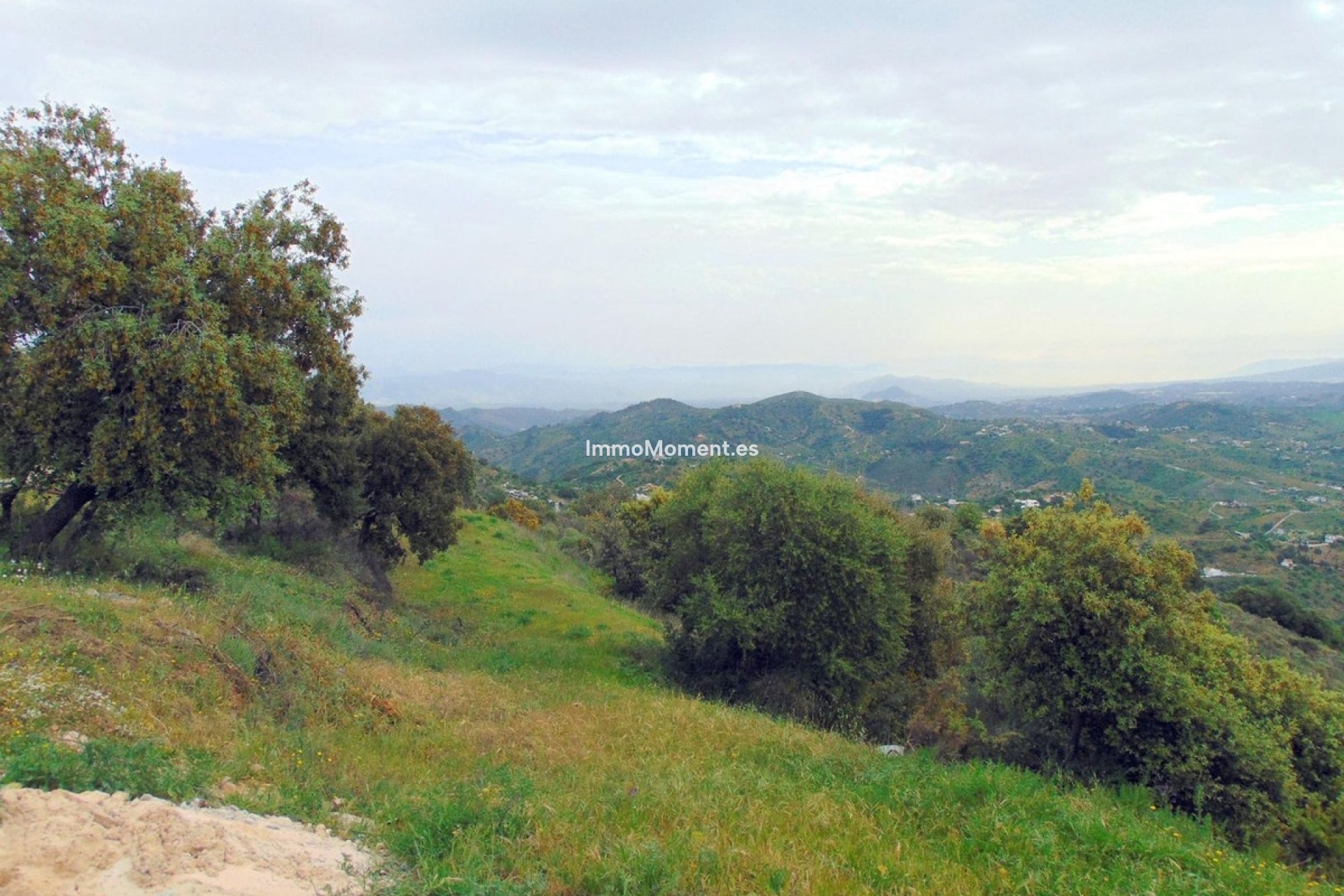 Resale - Country house - Inland  - Monda