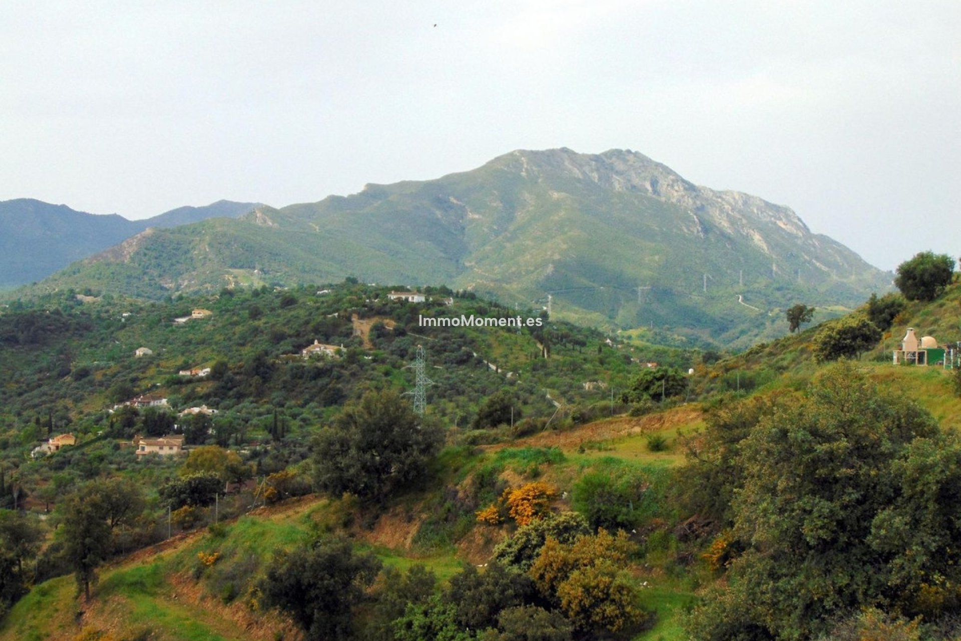 Resale - Country house - Inland  - Monda