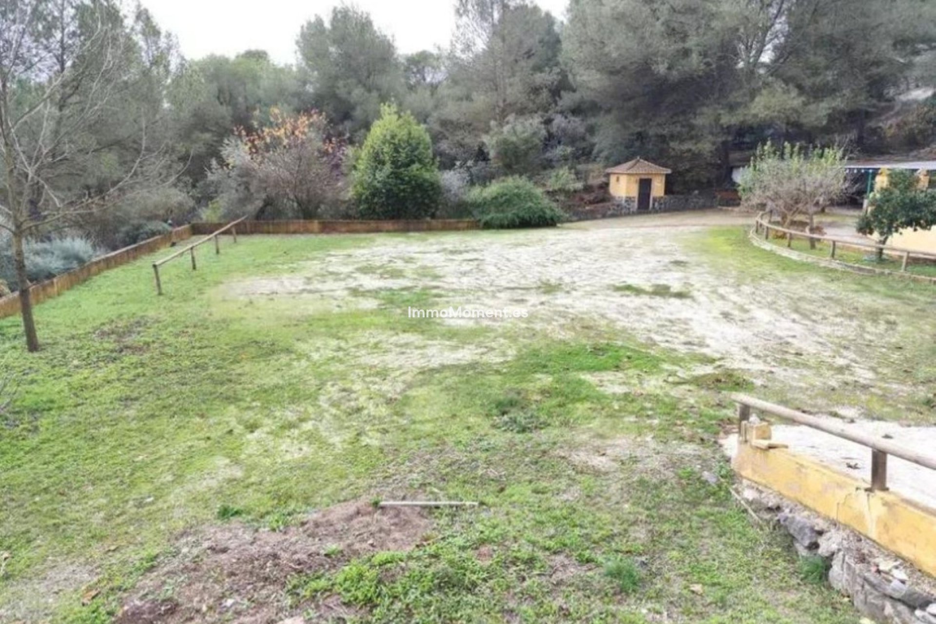 Resale - Country house - Inland  - Monda