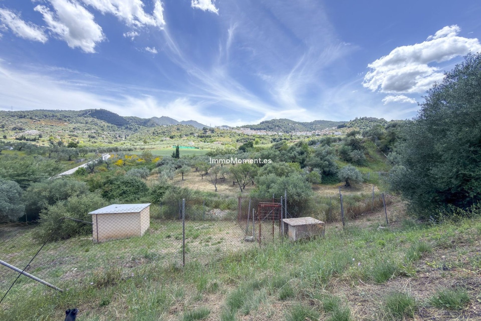 Resale - Country house - Inland  - Monda