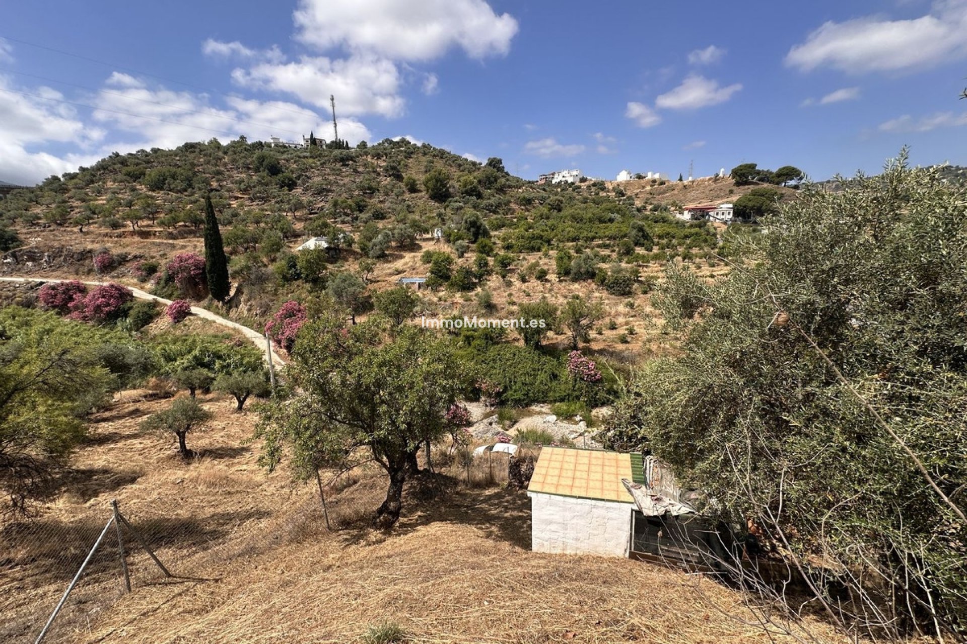 Resale - Country house - Inland  - Monda