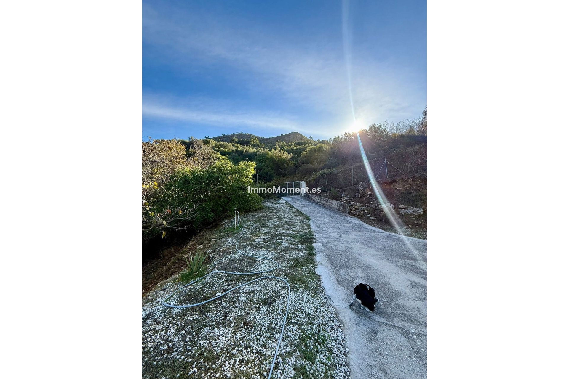 Resale - Country house - Inland  - Ojén