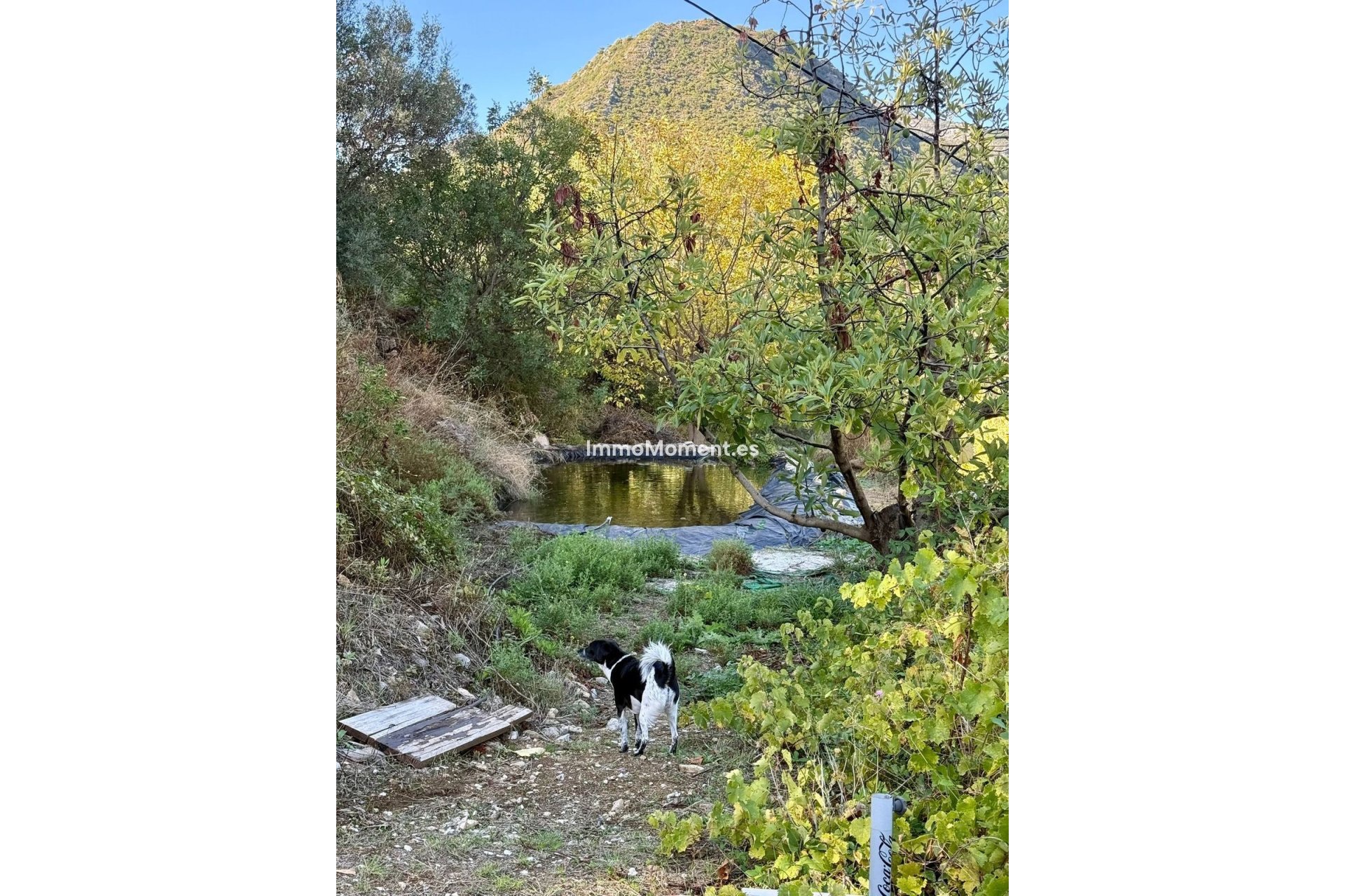 Resale - Country house - Inland  - Ojén