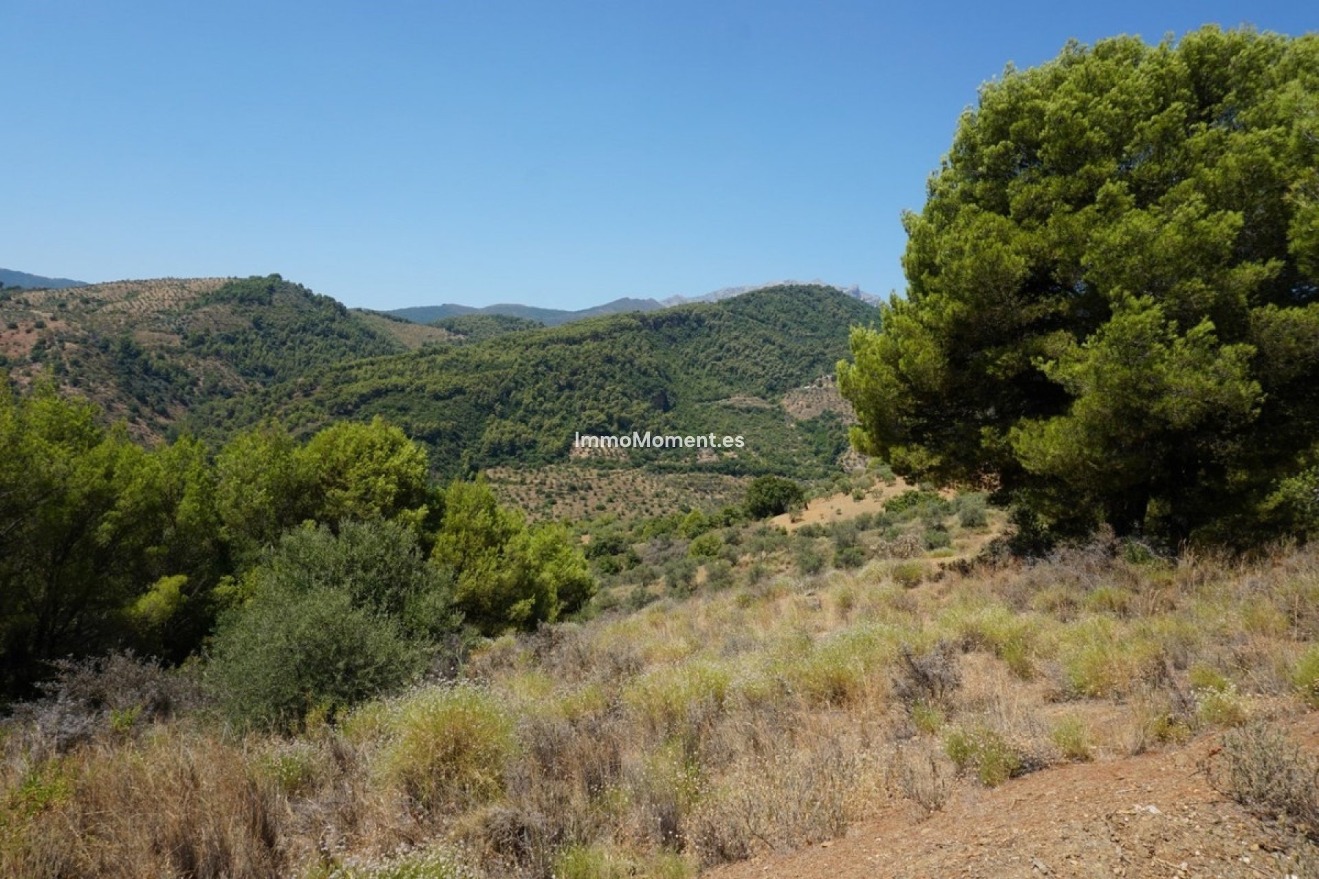 Resale - Country house - Inland  - Yunquera