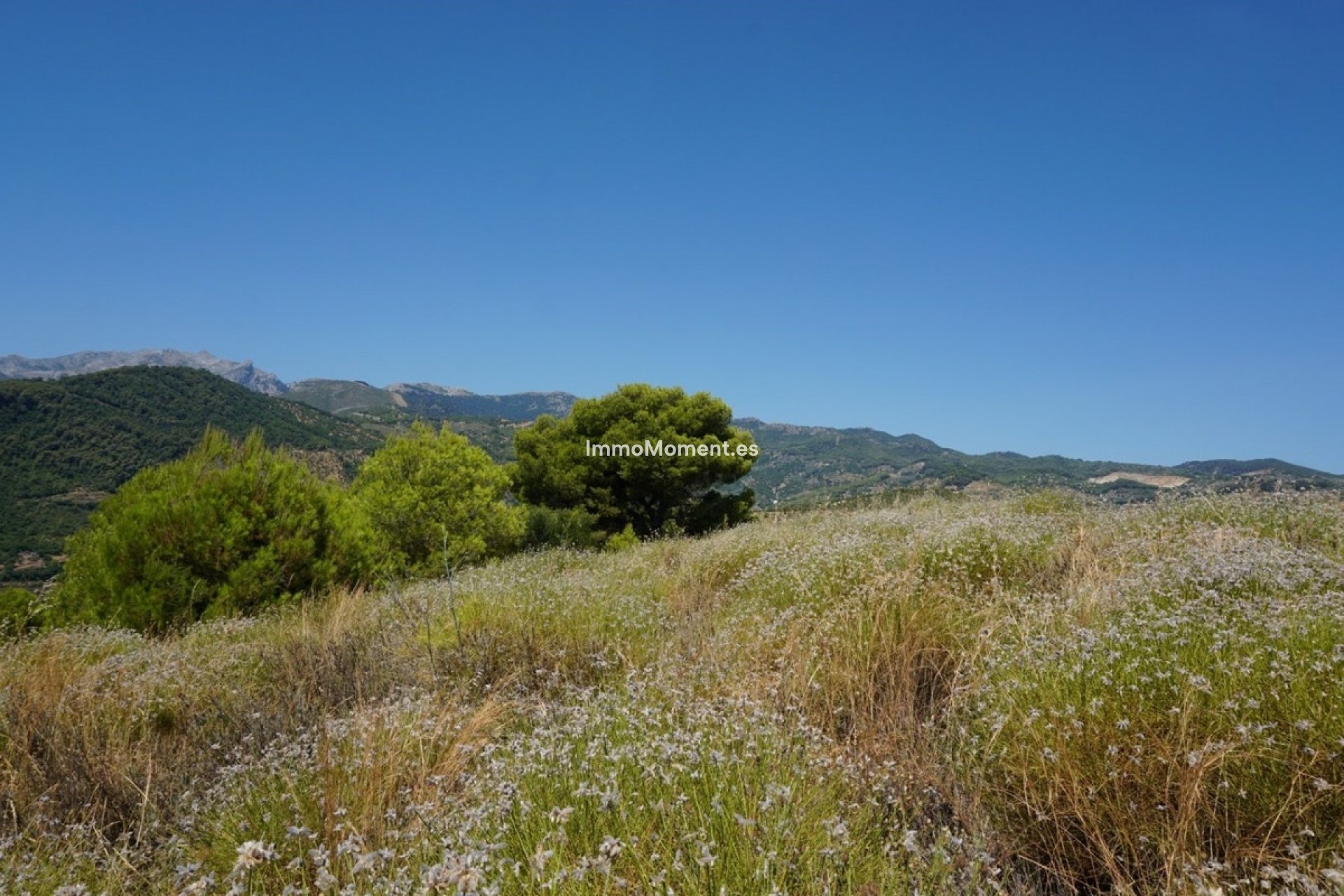 Resale - Country house - Inland  - Yunquera