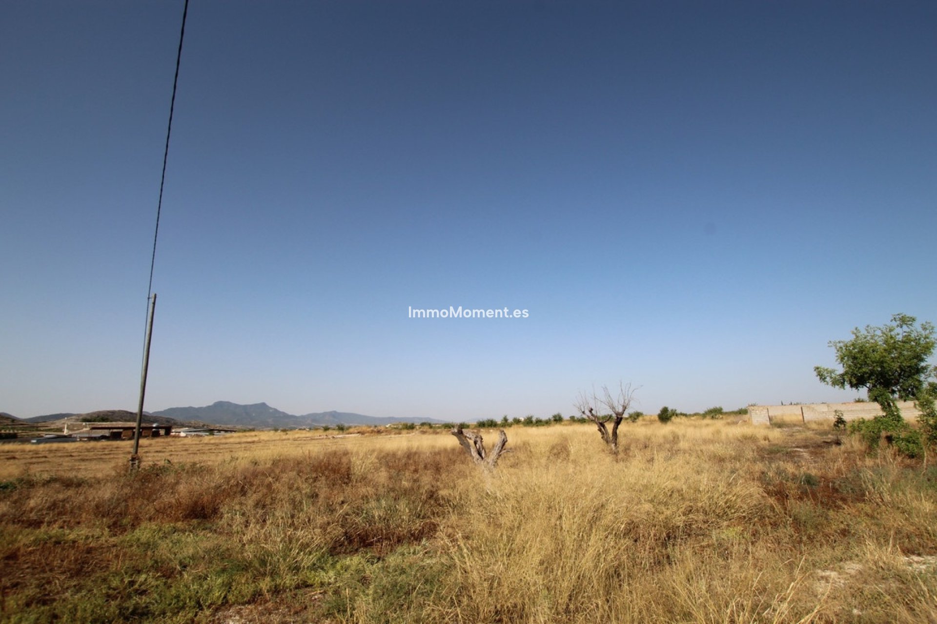 Resale - Country house - Jumilla - Torre Del Rico