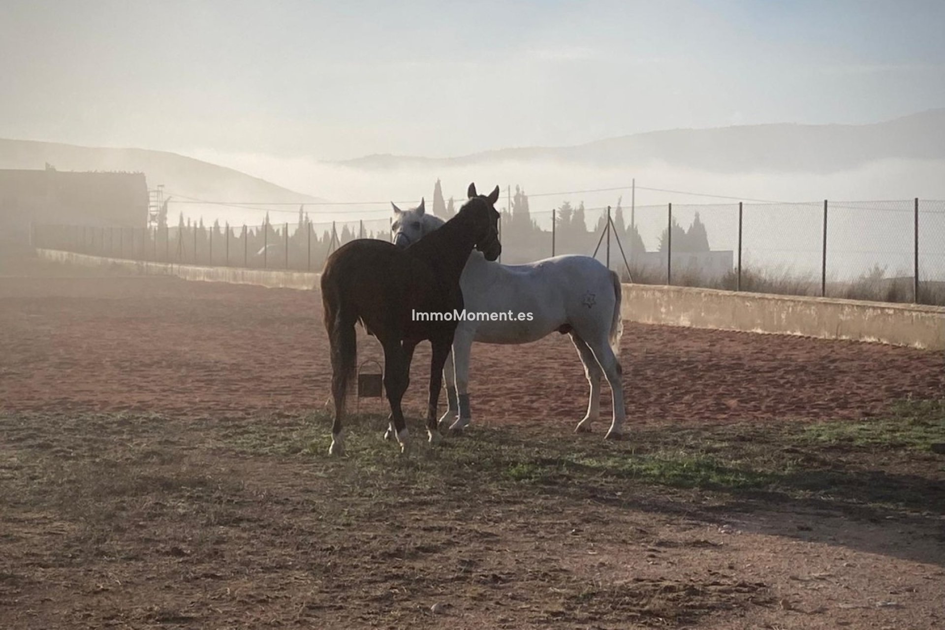 Resale - Country house - Jumilla - Torre Del Rico
