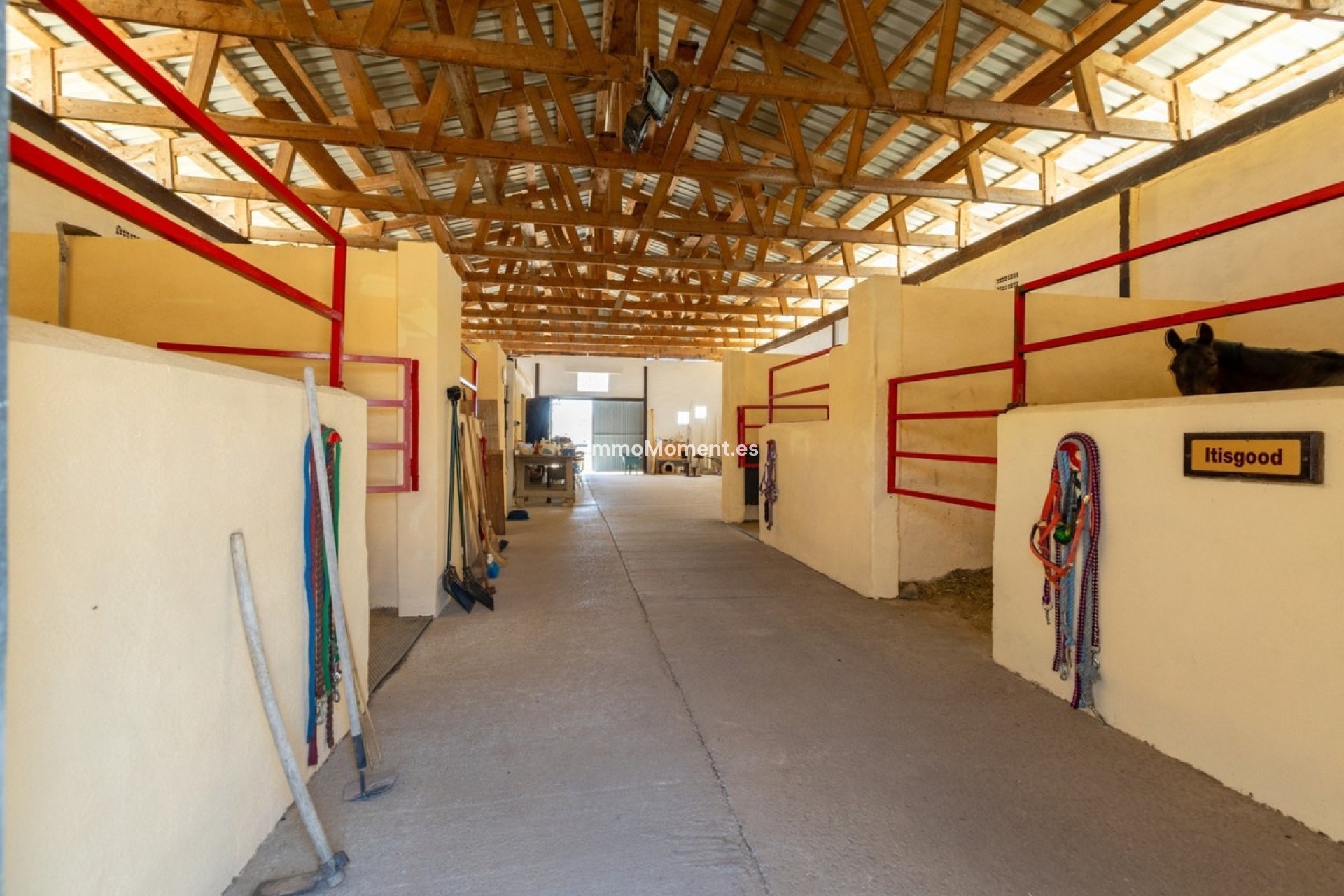 Resale - Country house - Jumilla - Torre Del Rico