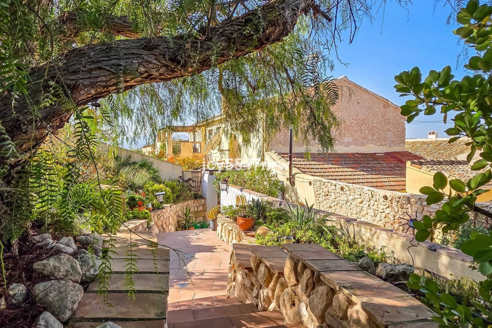 Resale - Country house - Jumilla - Torre Del Rico