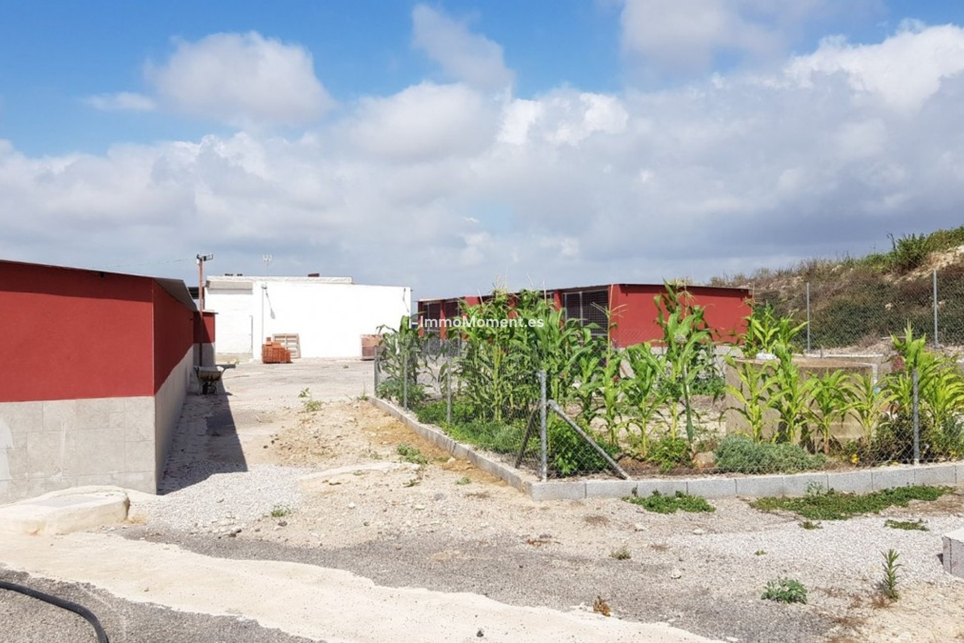 Resale - Country house - Los Montesinos - Los Montesinos Centro