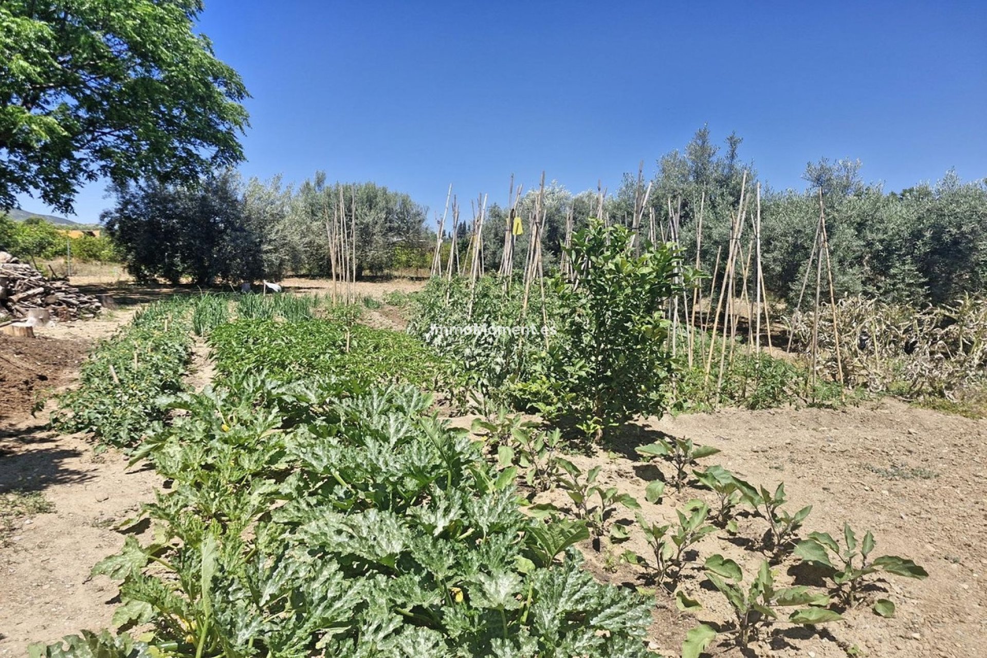 Resale - Country house - Málaga - Campanillas