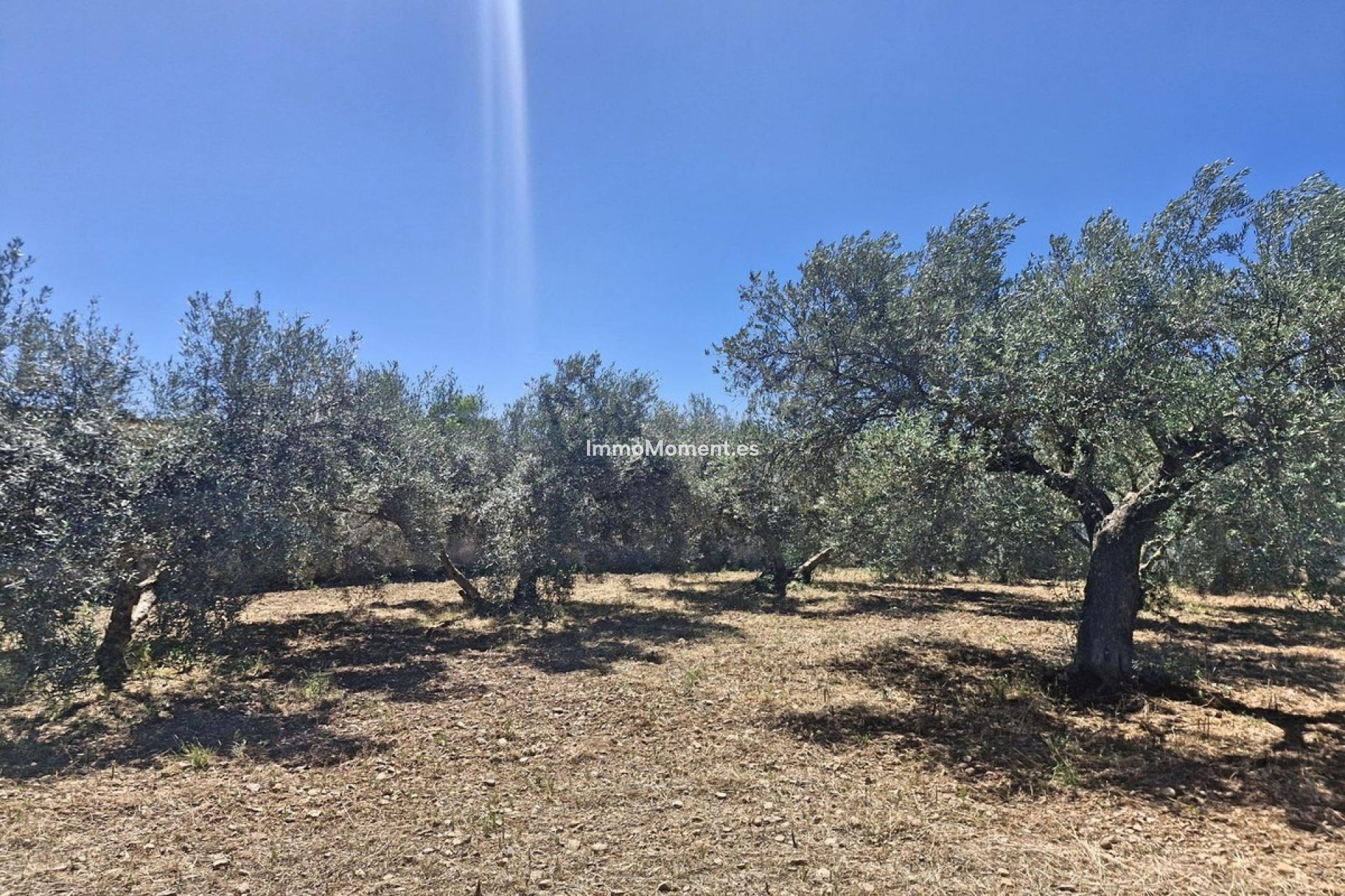 Resale - Country house - Málaga - Campanillas
