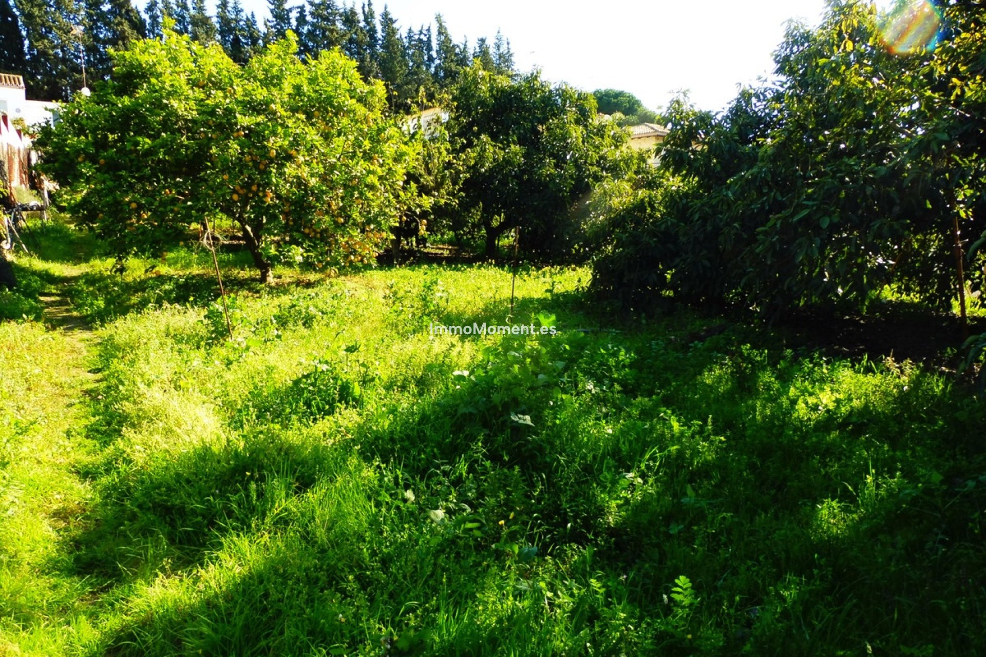 Resale - Country house - Marbella - Marbella Centro