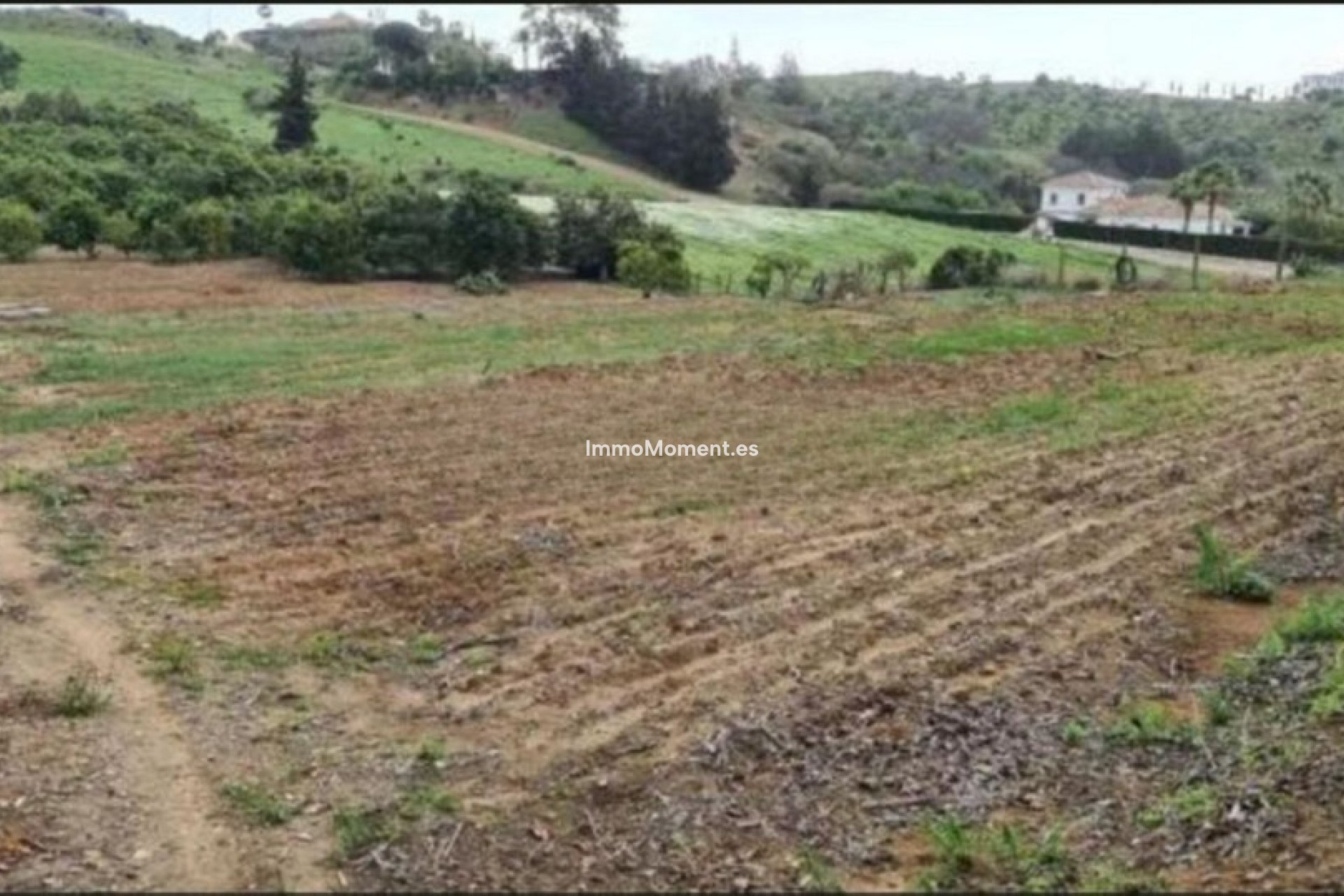 Resale - Country house - Mijas - Campo Mijas