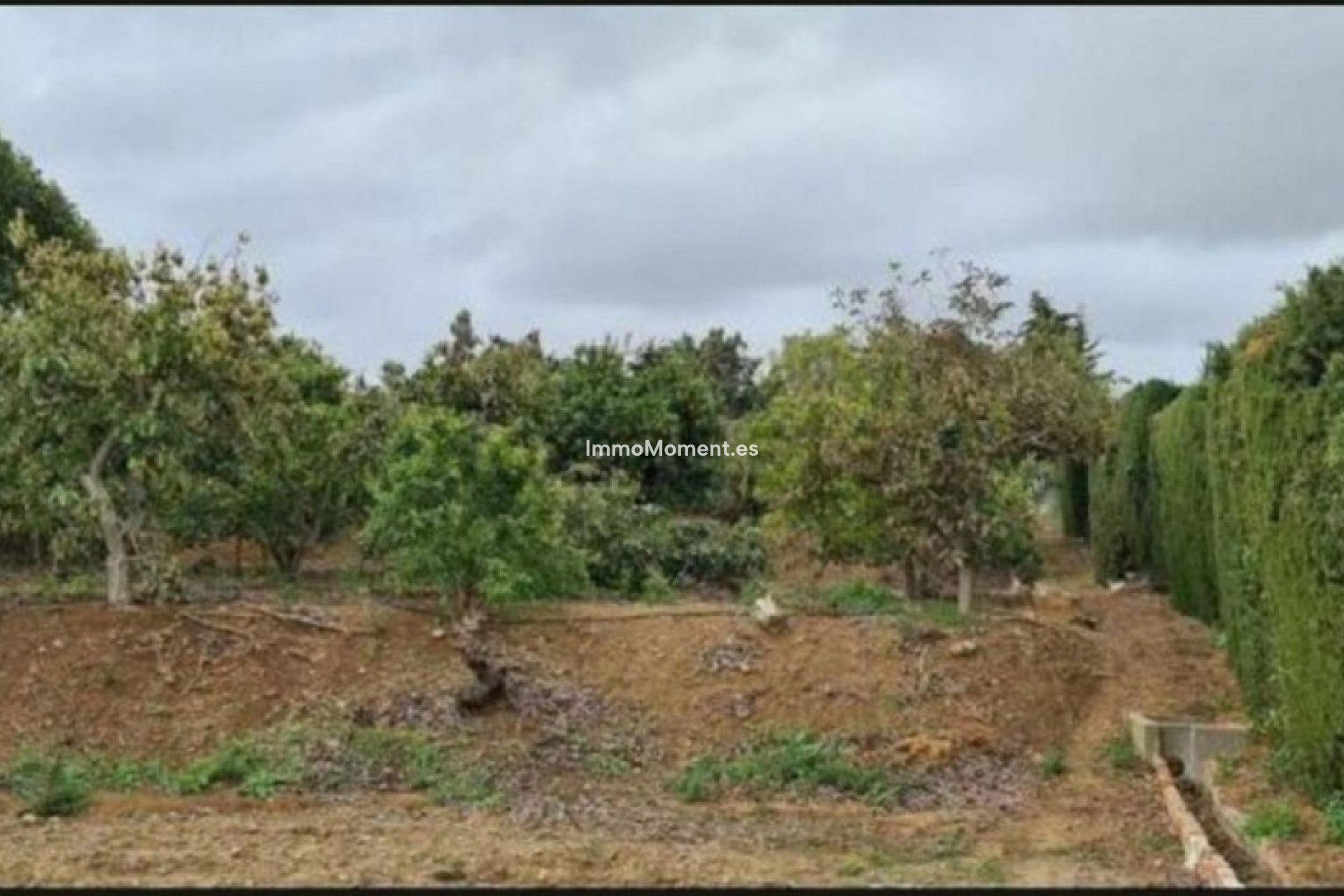 Resale - Country house - Mijas - Campo Mijas