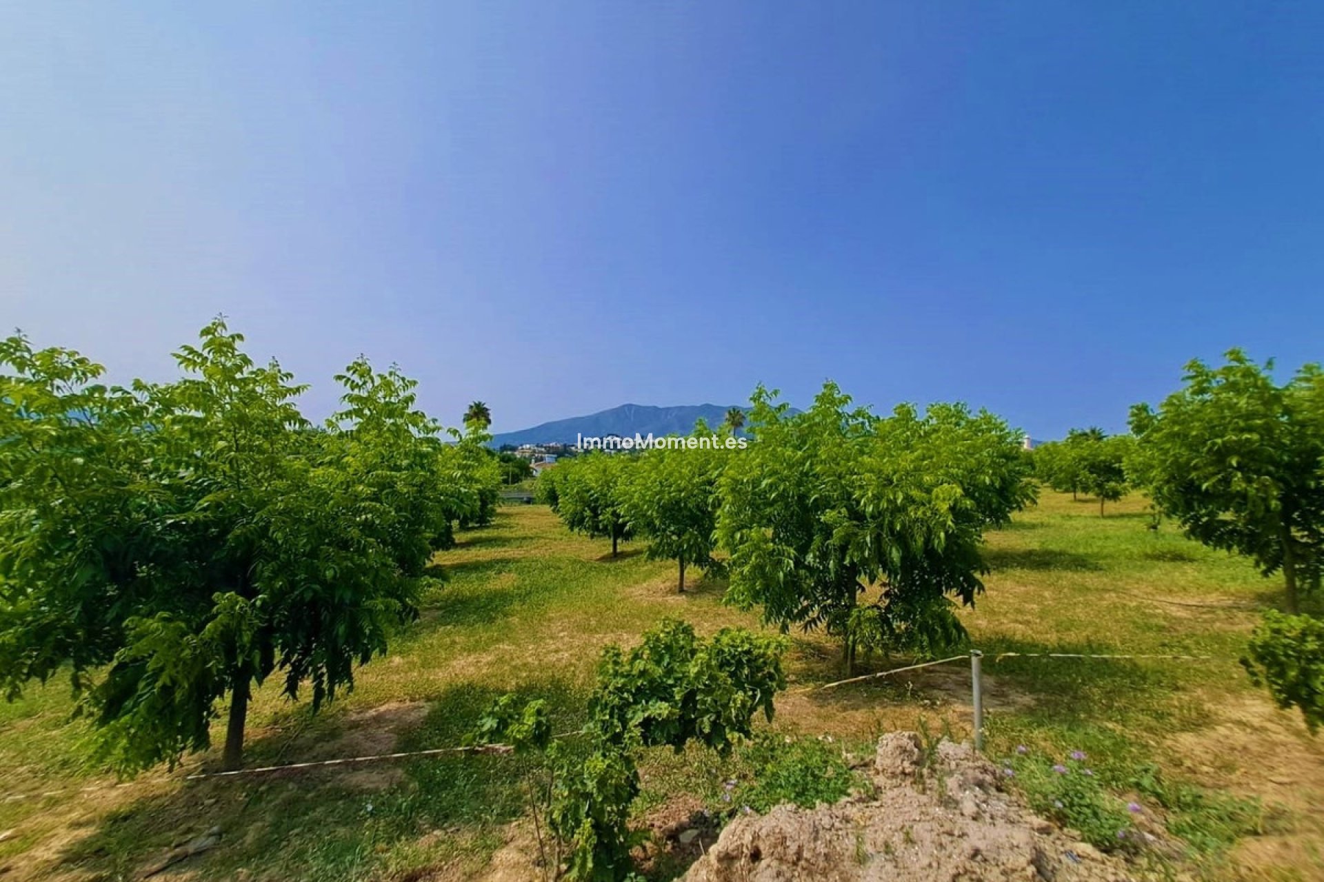 Resale - Country house - Mijas - Las Lagunas de Mijas