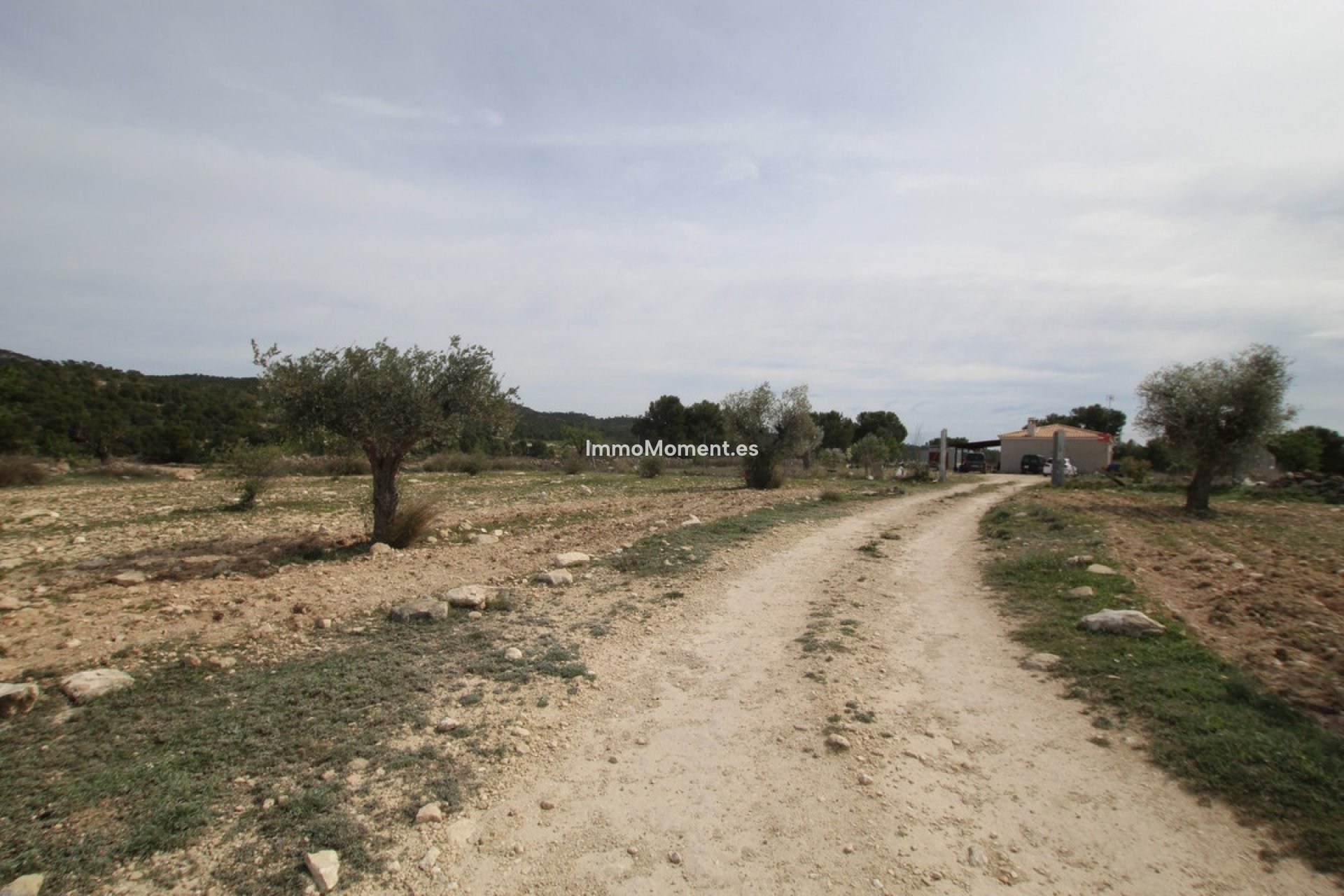 Resale - Country house - Monóvar - Monòver - Monóvar - Monòver Centro